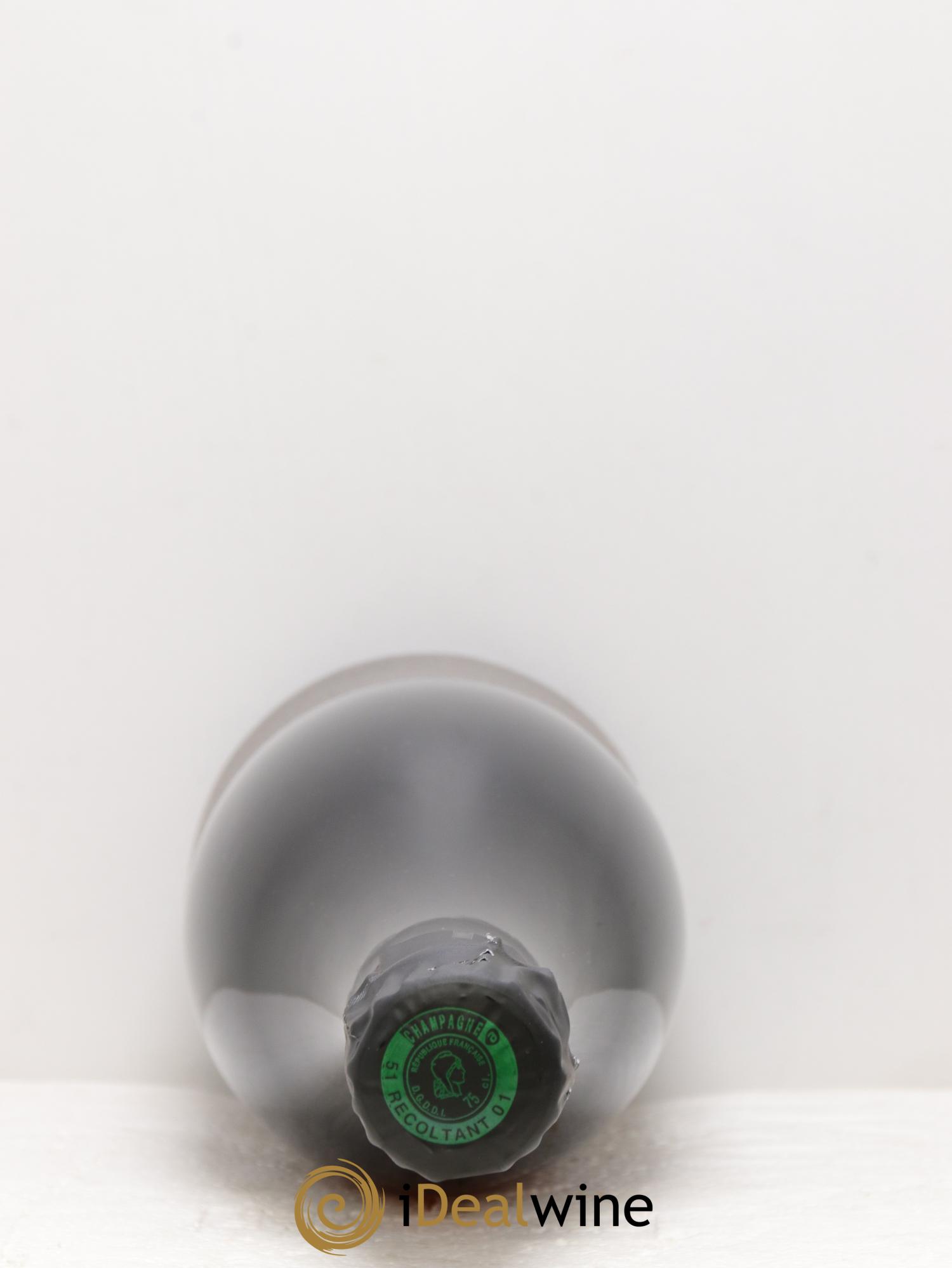 Roses de Jeanne Le Creux d'Enfer Cédric Bouchard 2020 - Posten von 1 Flasche - 1