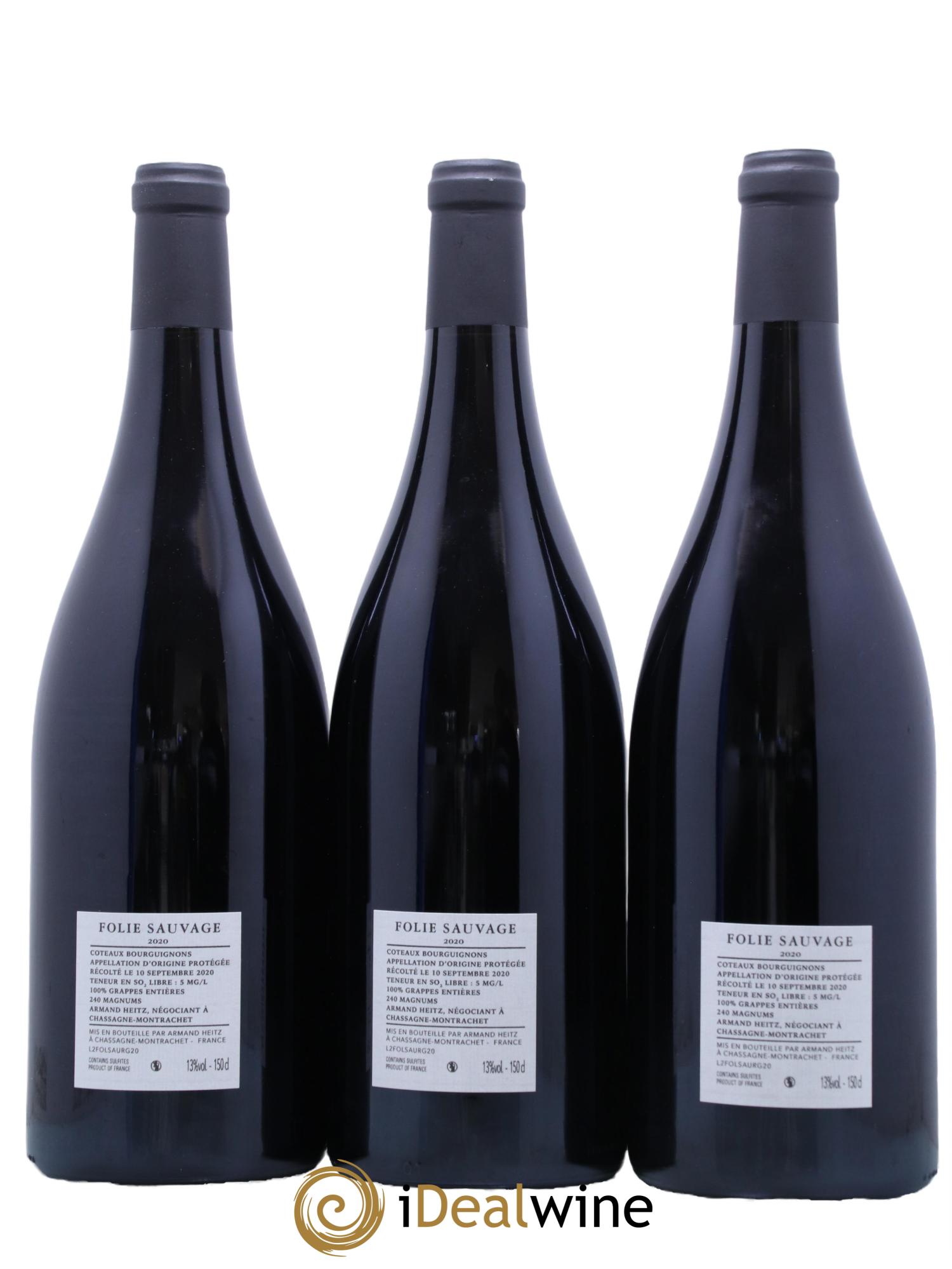 Coteaux Bourguignons Folie Sauvage Domaine Armand Haitz 2020 - Lot de 3 magnums - 1