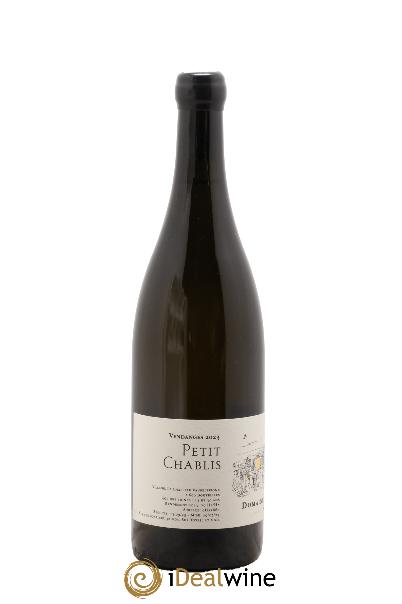 Petit Chablis Jean Dauvissat (Domaine) 2023 - Lotto di 1 bottiglia - 1