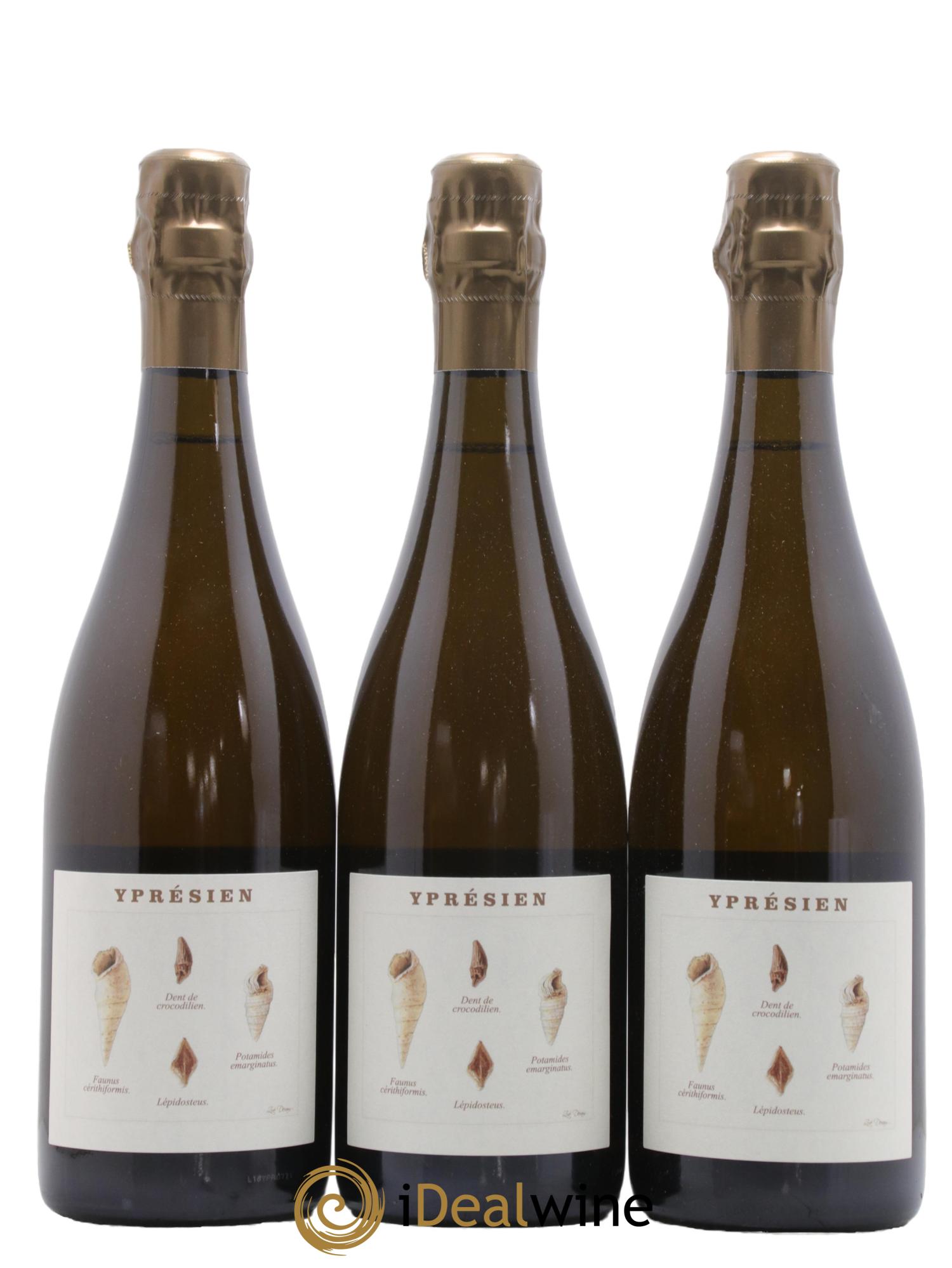 Yprésien Legrand Latour - Lot de 3 bouteilles - 0