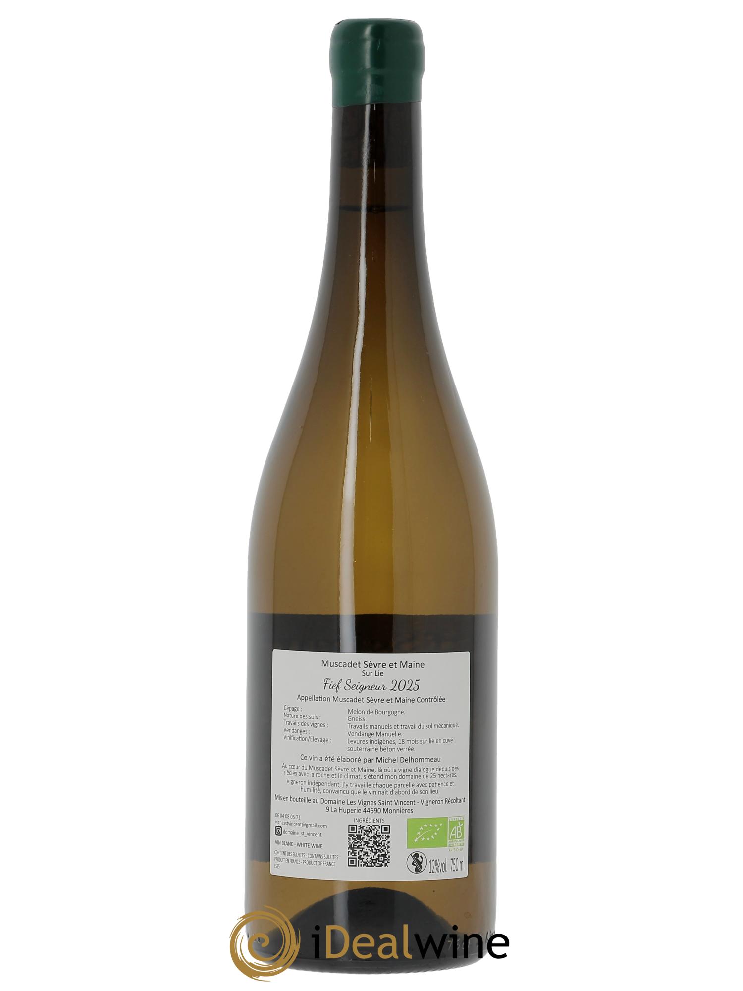 Muscadet-Sèvre-et-Maine sur lie Le Fief Seigneur Michel et Matthieu Delhommeau  2025 - Lot de 1 bouteille - 1