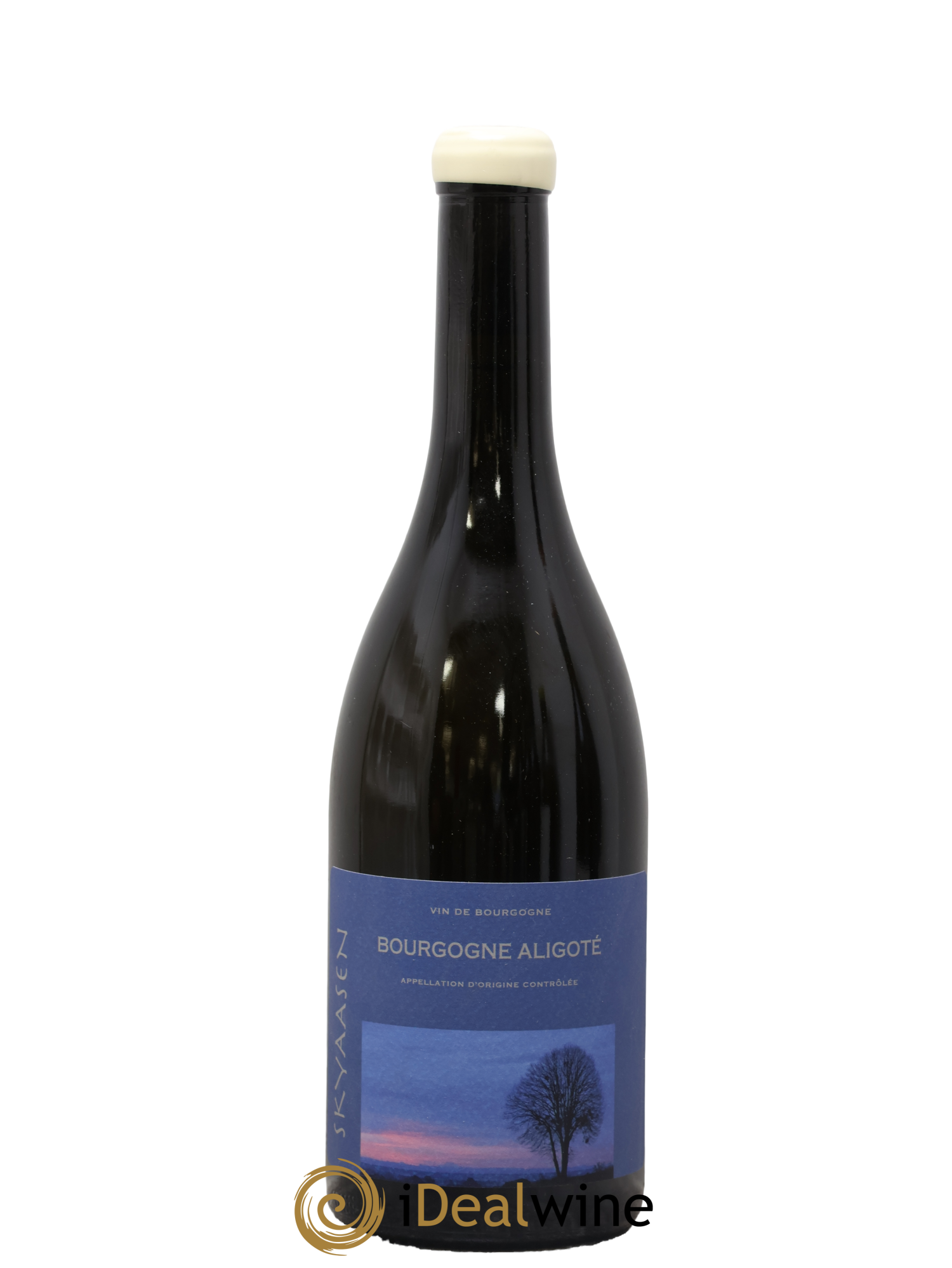 Bourgogne Aligoté Maison Skyaasen 2023 - Lot de 1 bouteille - 0