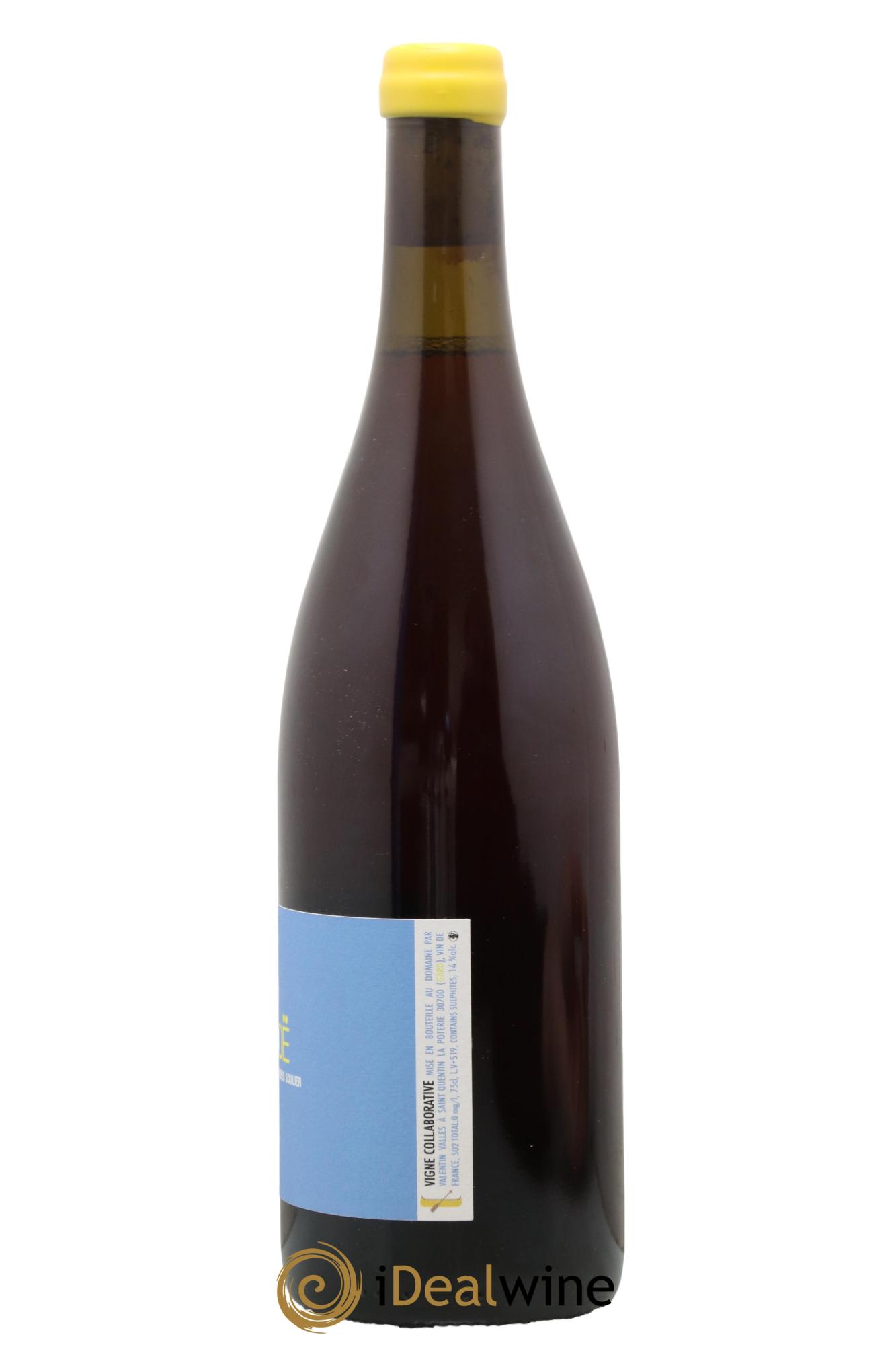 Vin de France Canoé Domaine Valentin Valles & Frères Soulier 2019 - Lot de 1 bouteille - 1