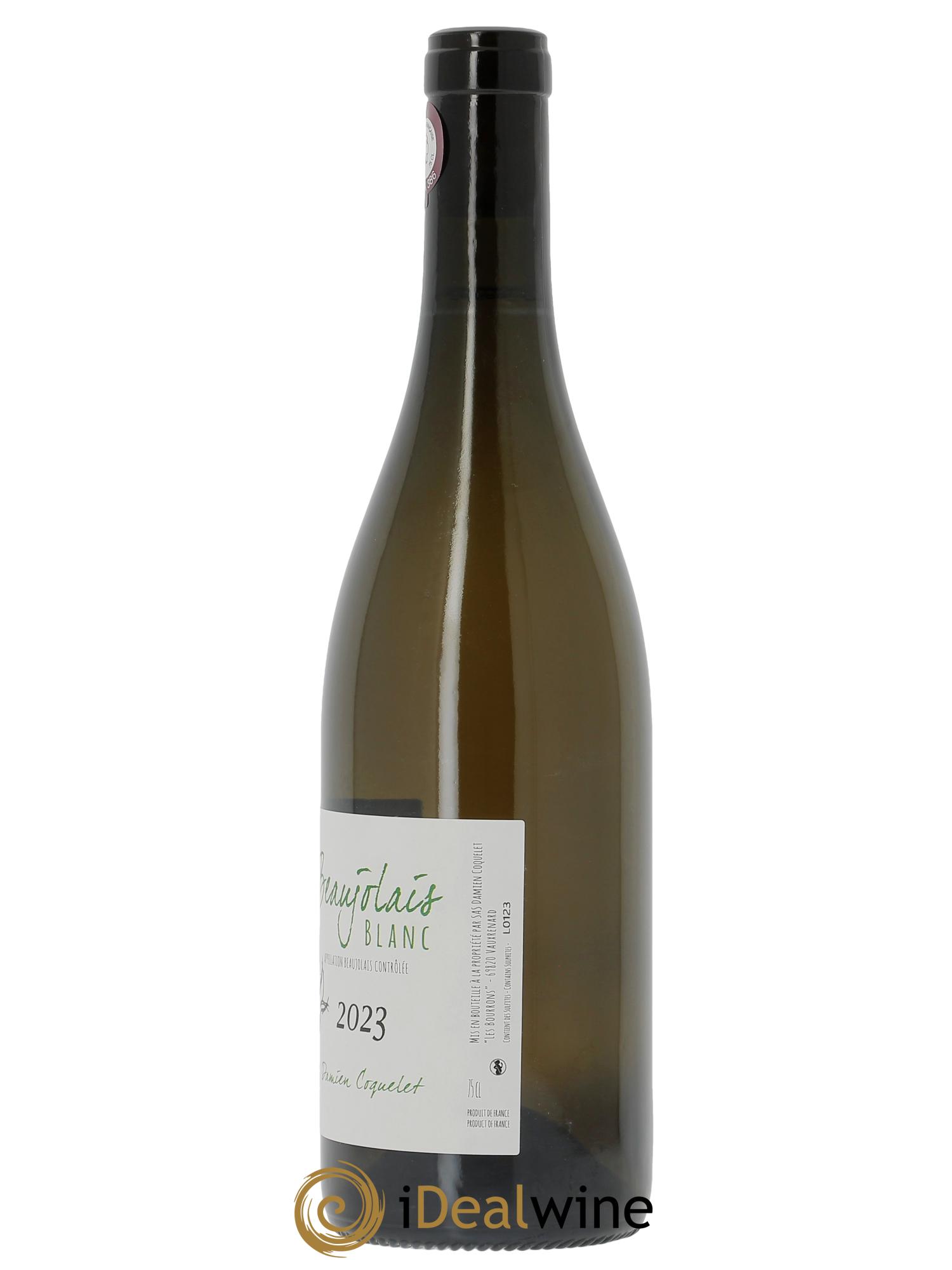 Beaujolais blanc Damien Coquelet  2023 - Lot de 1 bouteille - 1
