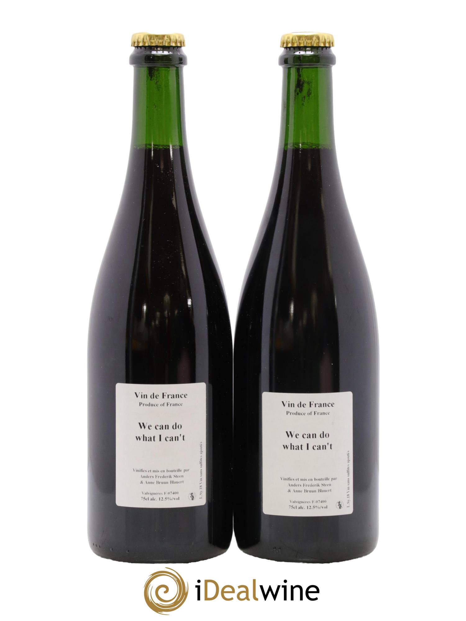 Vin de France We Can Do What I Can't Anders Frederik Steen 2018 - Posten von 2 Flaschen - 0