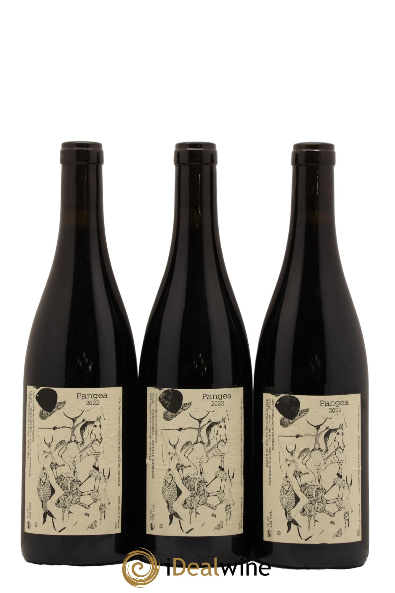 Vin de France Pangea Morgane Turlier 2022 - Lot de 3 bouteilles - 0