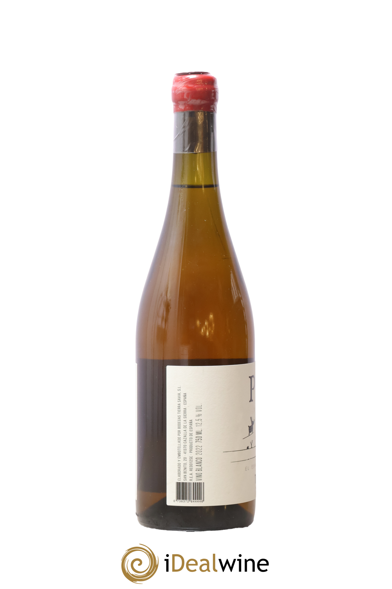 Espagne Piu Anfora Terra Savia 2022 - Posten von 1 Flasche - 1