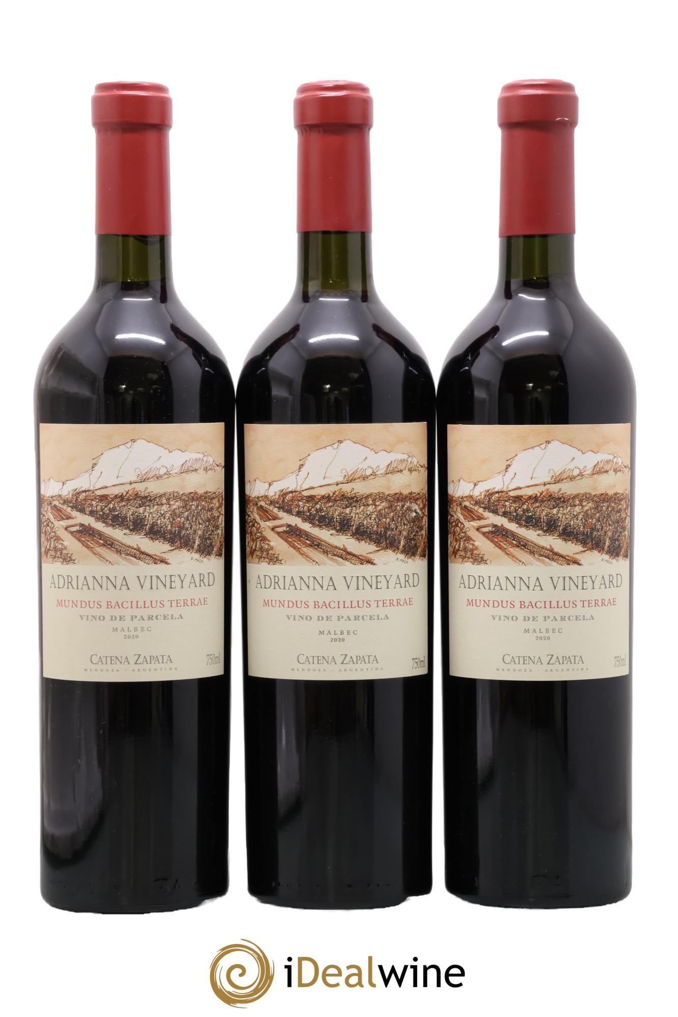 Mendoza Adrianna Vineyard Mundus Bacillus Terrae Catena Zapata 2020 - Lot of 3 bottles - 0