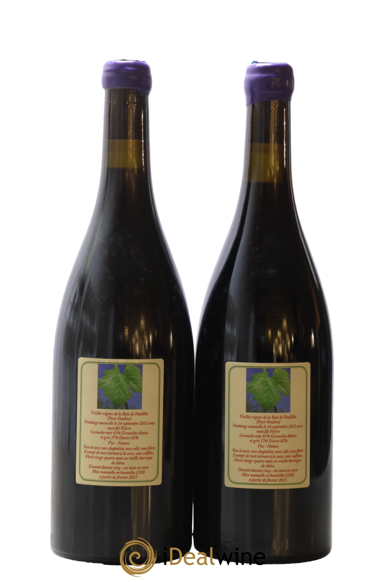 Vin de France Terre de Causse Terrrasses de Cosprons Tramontane Didier Mouton 2012 - Lot of 2 bottles - 1