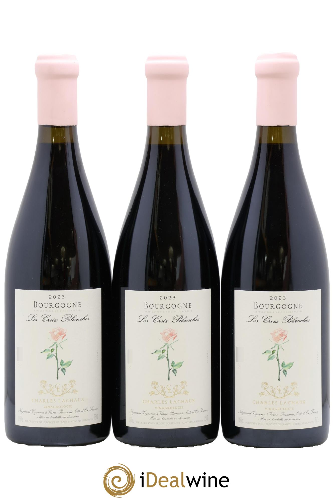 Bourgogne La Croix Blanche Charles Lachaux 2023 - Lot de 3 bouteilles - 0