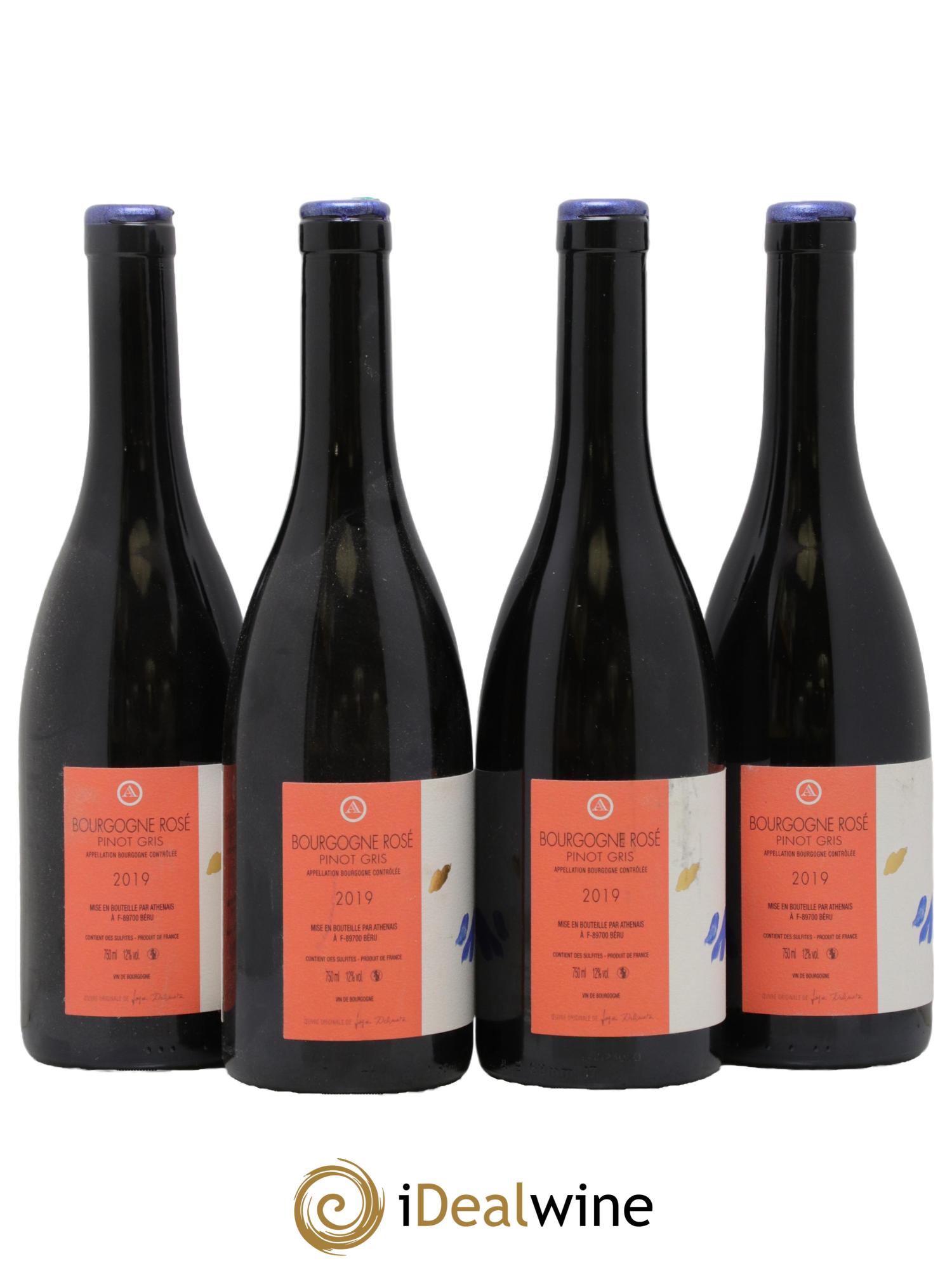 Bourgogne Pinot Gris Athénaïs de Béru 2019 - Lot de 4 bouteilles - 1