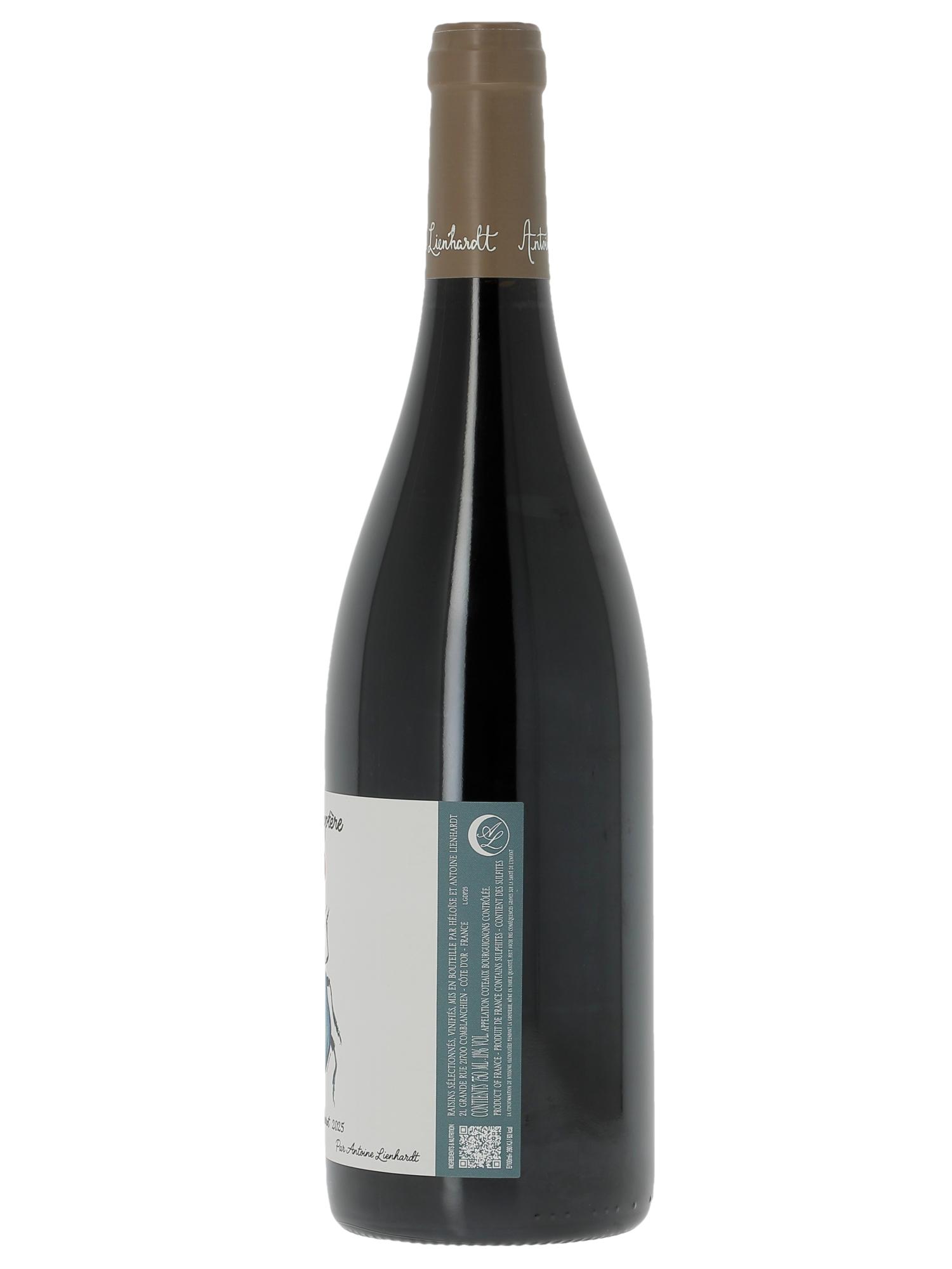Coteaux Bourguignons Gamayoptère Antoine Lienhardt 2025 - Lote de 1 botella - 1