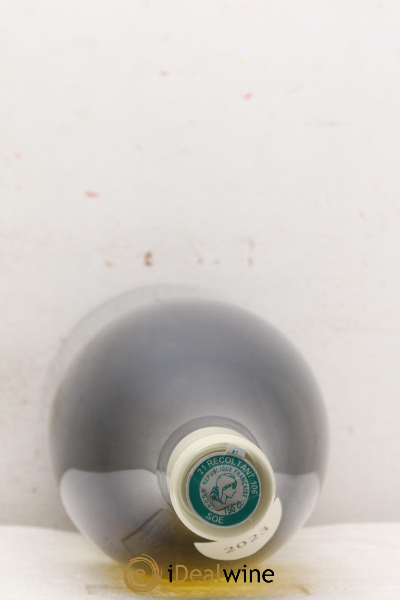 Chassagne-Montrachet 1er Cru Les Grandes Ruchottes Paul Pillot (Domaine)  2023 - Lot de 1 magnum - 1