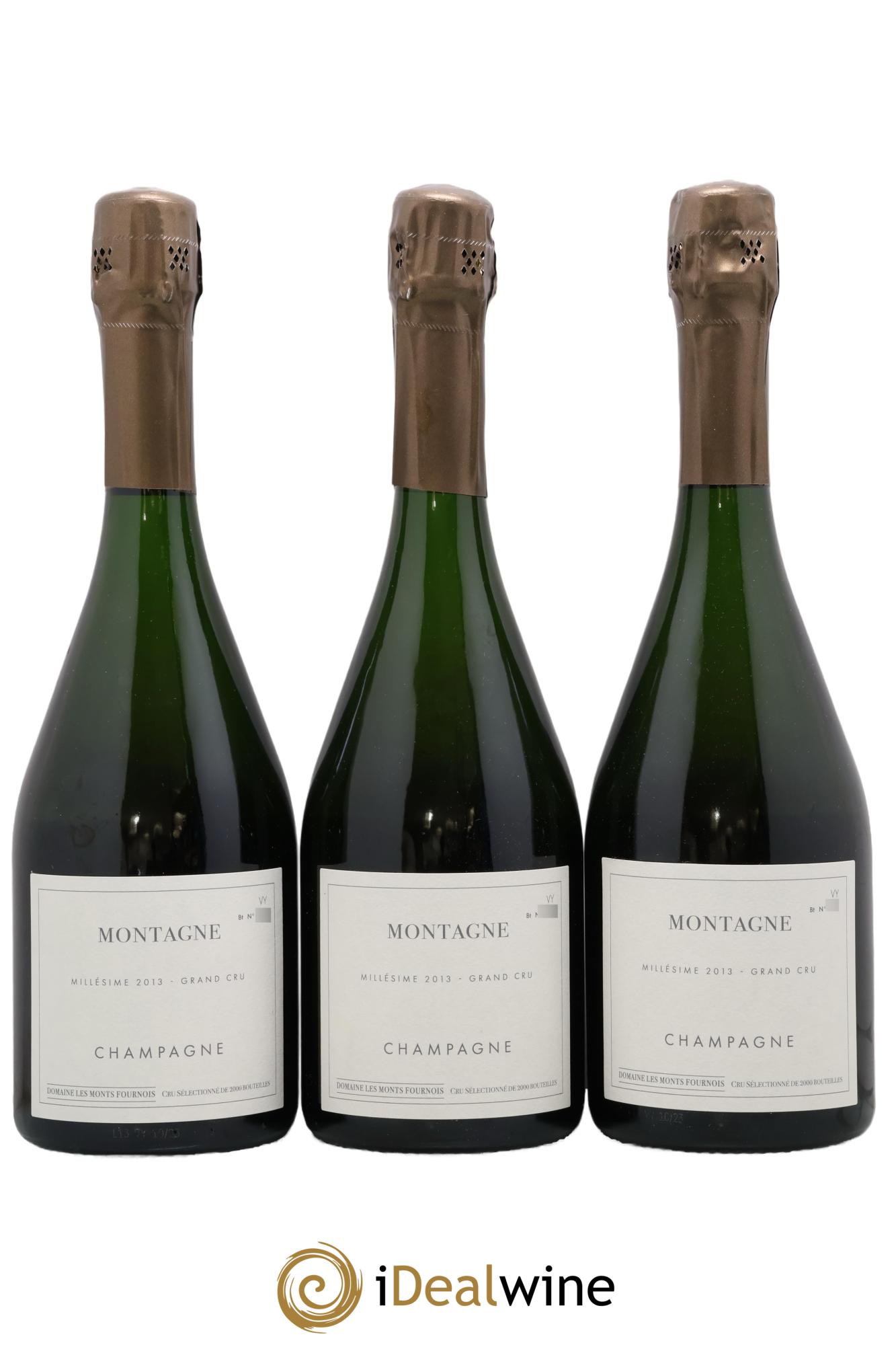 Montagne Verzy Grand Cru Les Monts Fournois (Domaine) 2013 - Posten von 3 Flaschen - 0