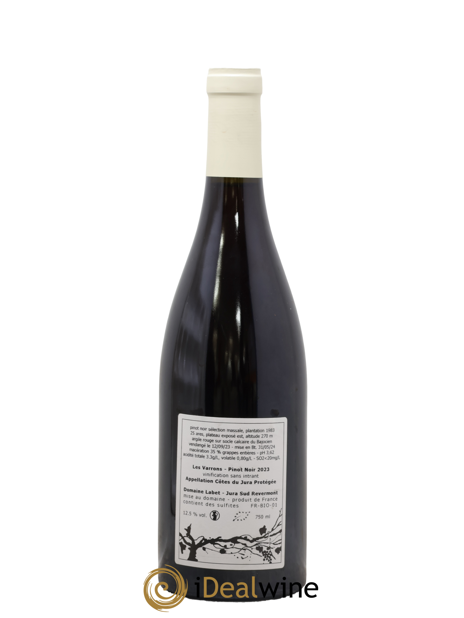 Côtes du Jura Pinot Noir Les Varrons Sélection Massale Romain - Julien  - Charline Labet 2023 - Posten von 1 Flasche - 1