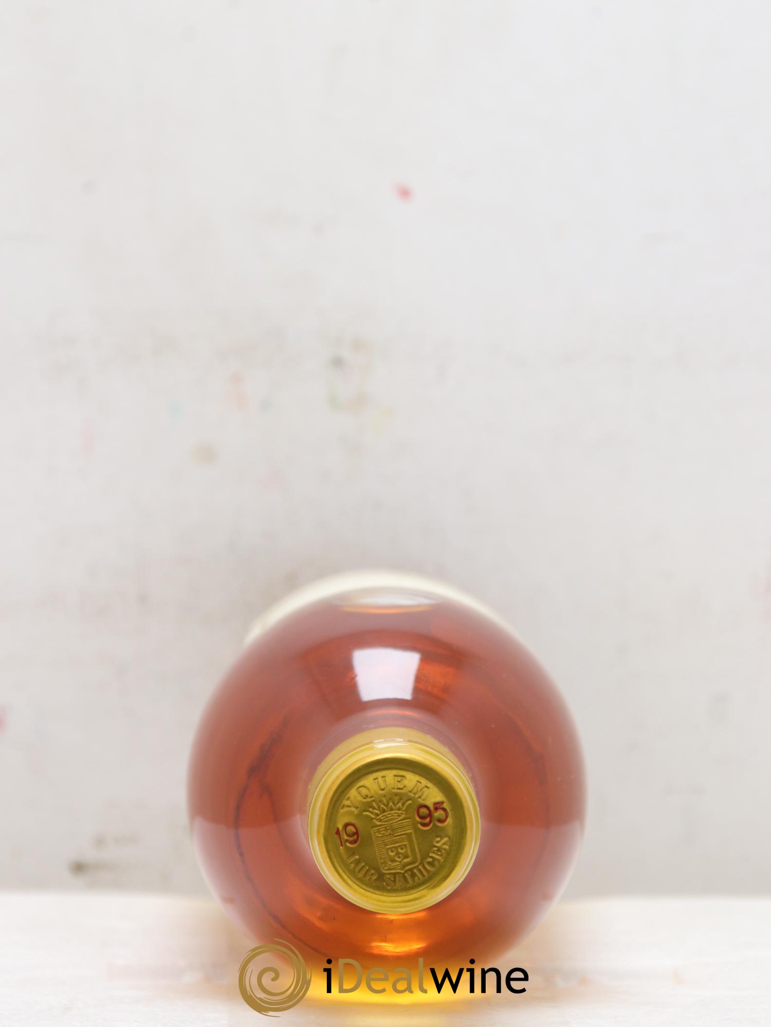 Château d' Yquem 1er Cru Classé Supérieur 1995 - Lotto di 1 bottiglia - 1