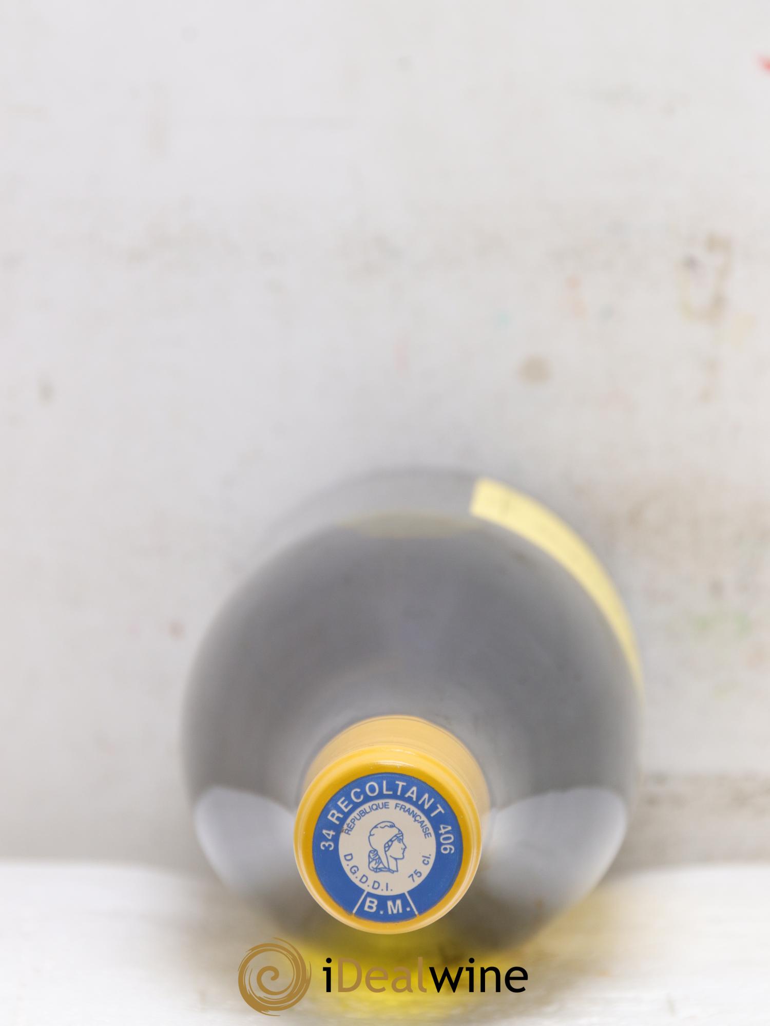 IGP Pays d'Hérault Grange des Pères Laurent Vaillé 2020 - Lotto di 3 bottiglie - 1