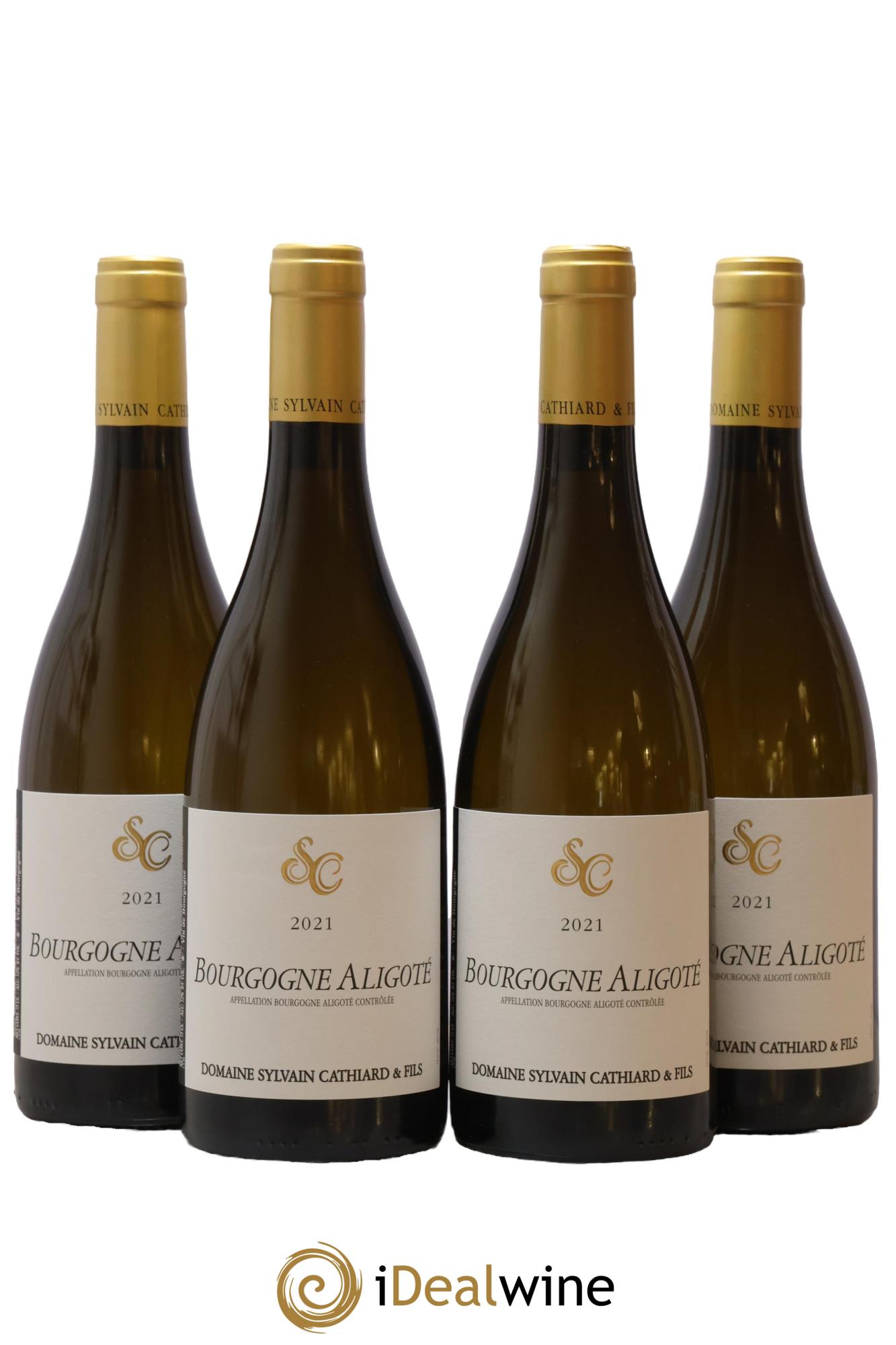 Bourgogne Aligoté Sylvain Cathiard & Fils 2021 - Posten von 4 Flaschen - 0