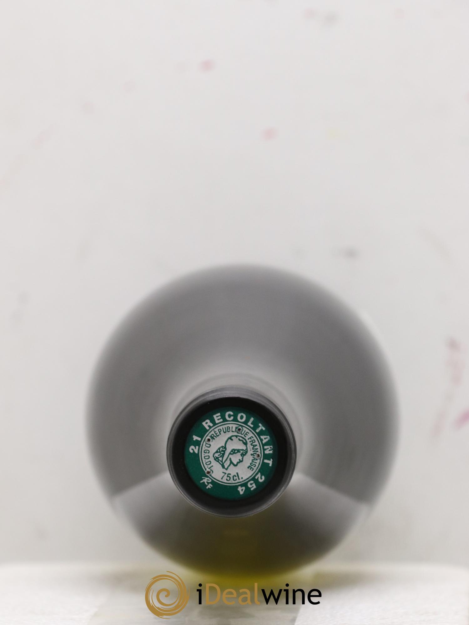 Chassagne-Montrachet 1er Cru (Morgeot) Tête du Clos Vincent Dancer 2020 - Lotto di 1 bottiglia - 2