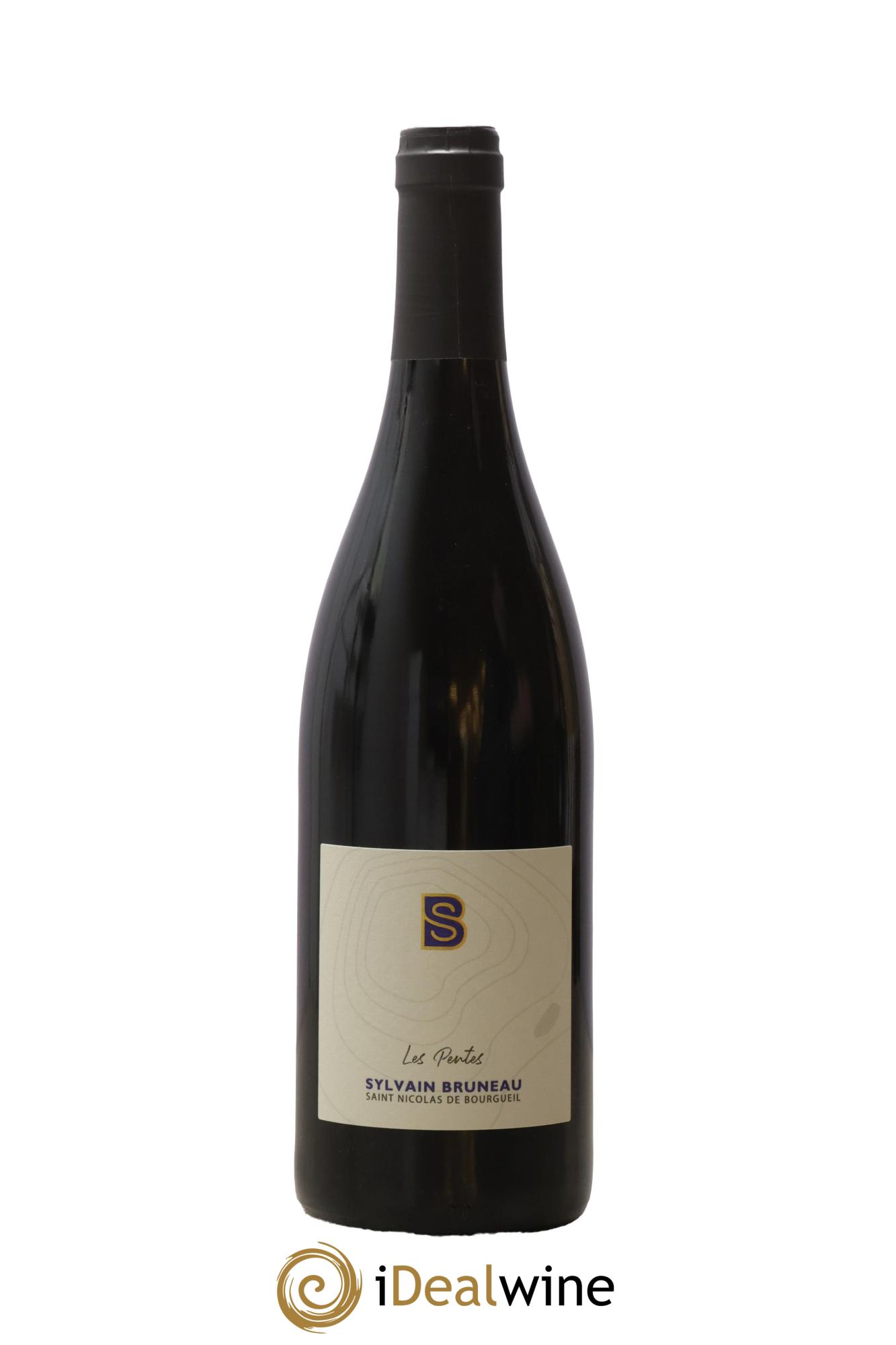 Saint-Nicolas de Bourgueil Les Pentes Domaine Sylvain Bruneau 2022 - Lot de 1 bouteille - 0