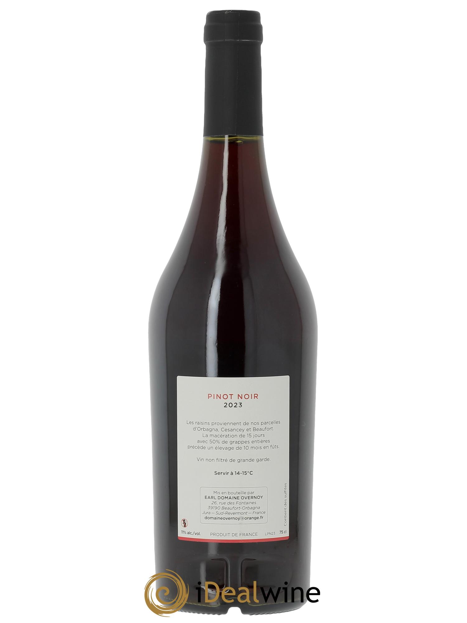 Côtes du Jura Pinot Noir Guillaume Overnoy 2023 - Lotto di 1 bottiglia - 1