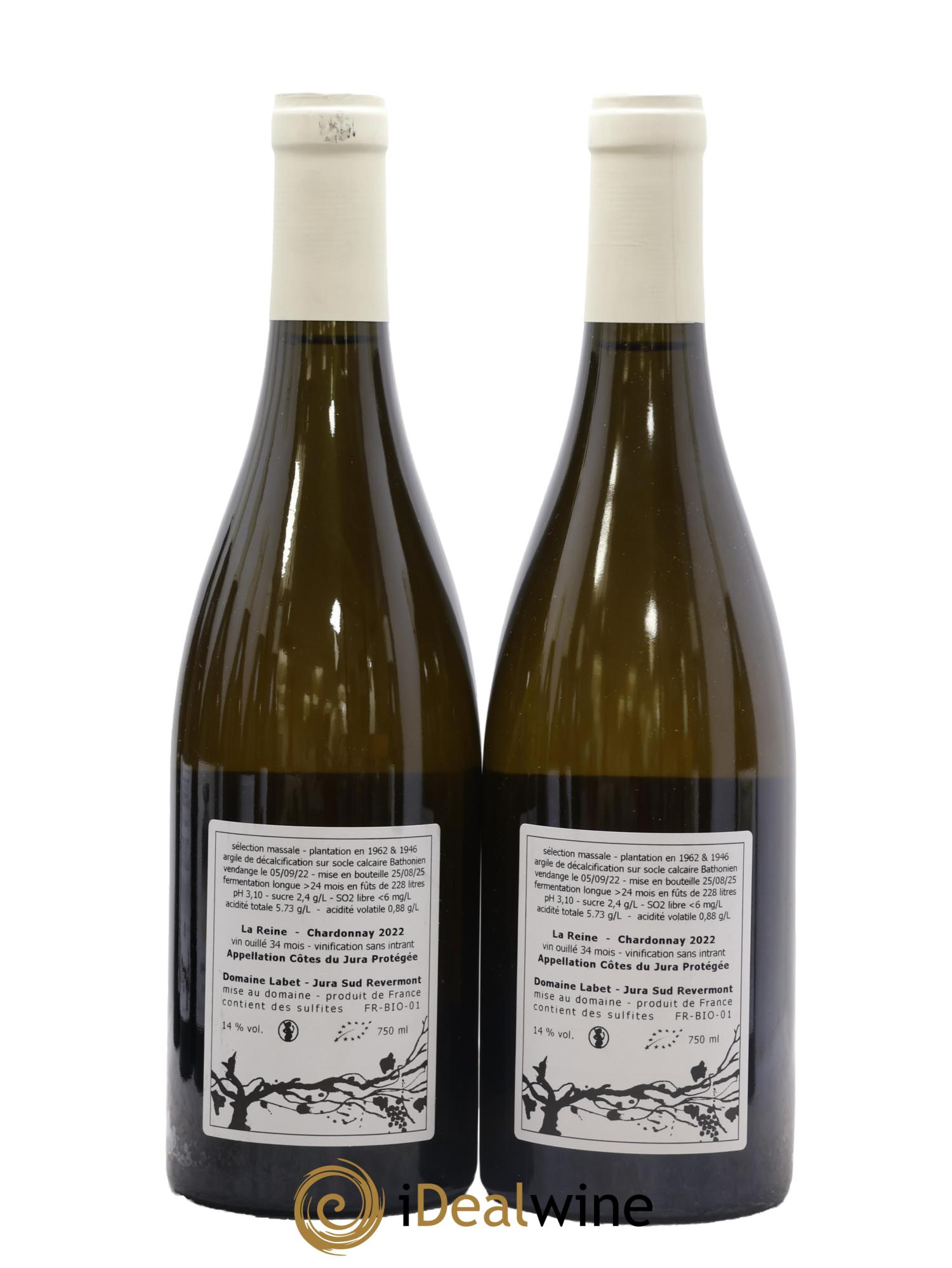 Côtes du Jura Chardonnay La Reine Romain - Julien  - Charline Labet 2022 - Lot of 2 bottles - 1