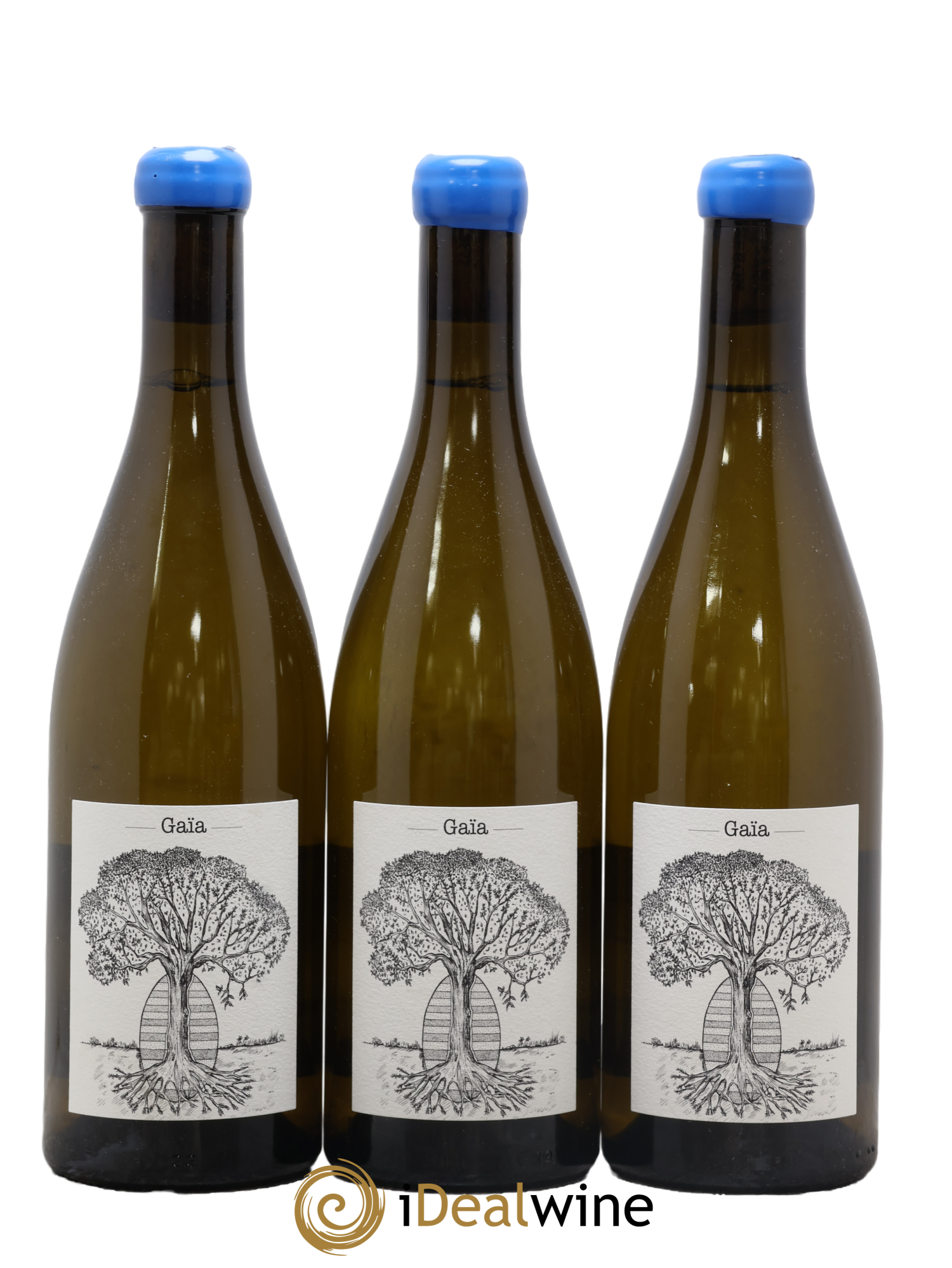 Muscadet-Sèvre-et-Maine Gaia Jérôme Bretaudeau - Domaine de Bellevue 2020 - Lot de 3 bouteilles - 0