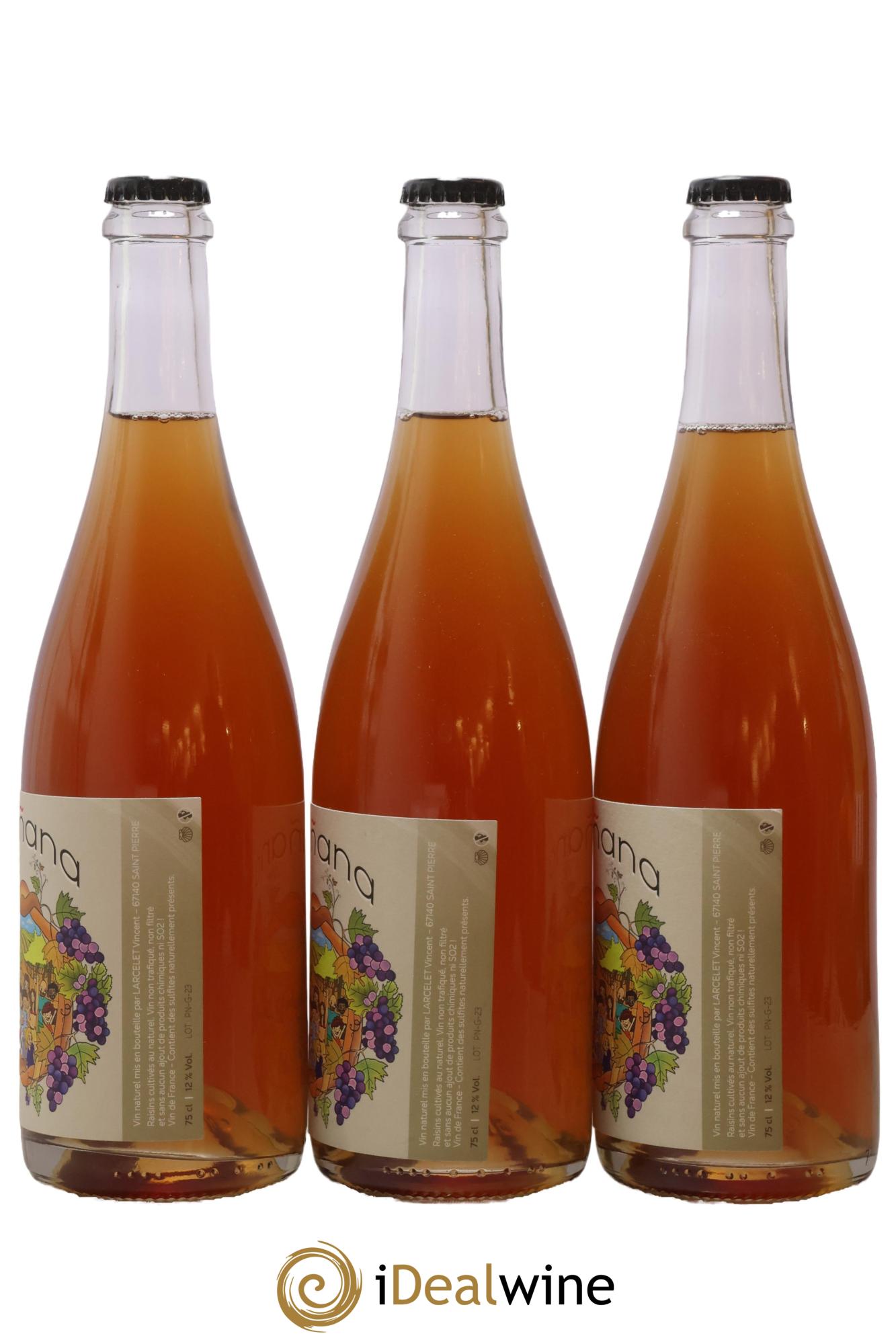 Vin de France Manana Domaine Du Petit Bouchon 2023 - Lot de 3 bouteilles - 1