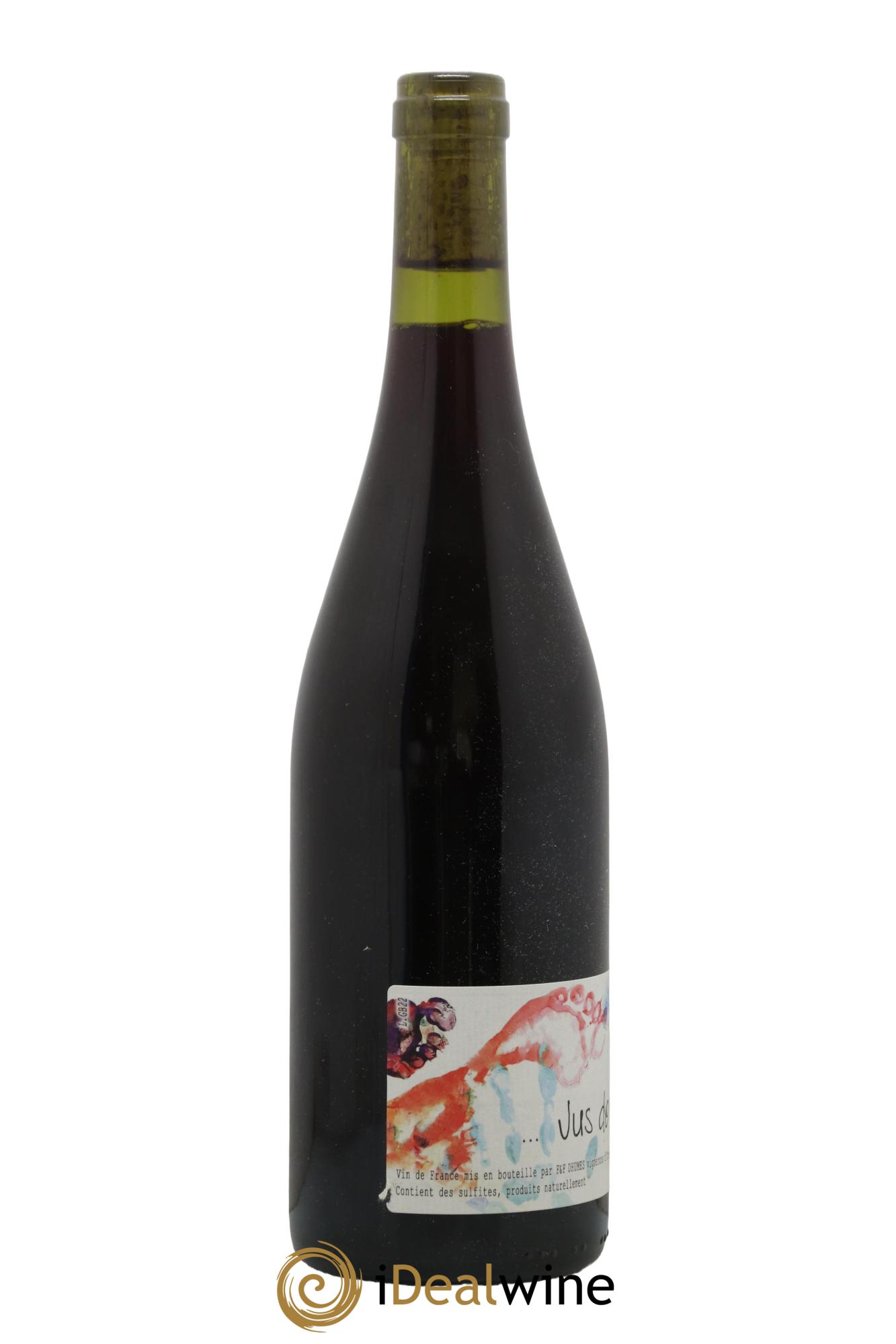 Vin de France Jus de Vilain Domaine Dhumes 2022 - Lot de 1 bouteille - 1