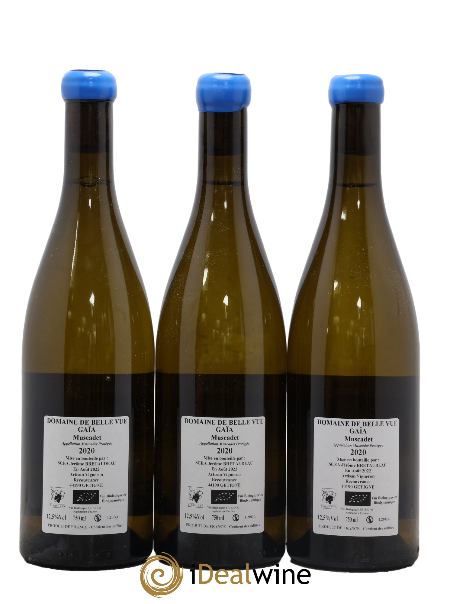 Muscadet-Sèvre-et-Maine Gaia Jérôme Bretaudeau - Domaine de Bellevue 2020 - Lot de 3 bouteilles - 1