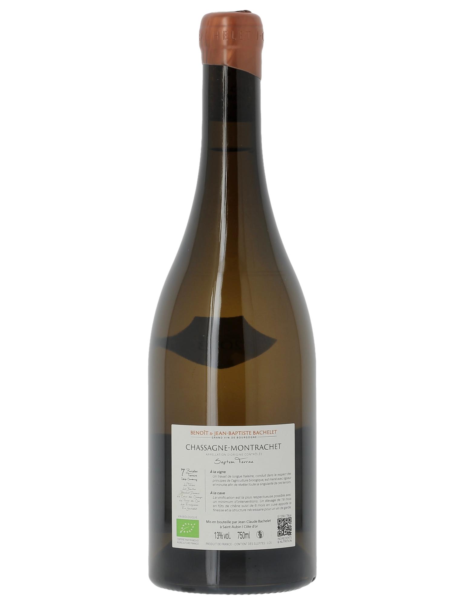 Chassagne-Montrachet Septem Terrae Jean-Claude Bachelet (Domaine) 2023 - Lotto di 1 bottiglia - 1