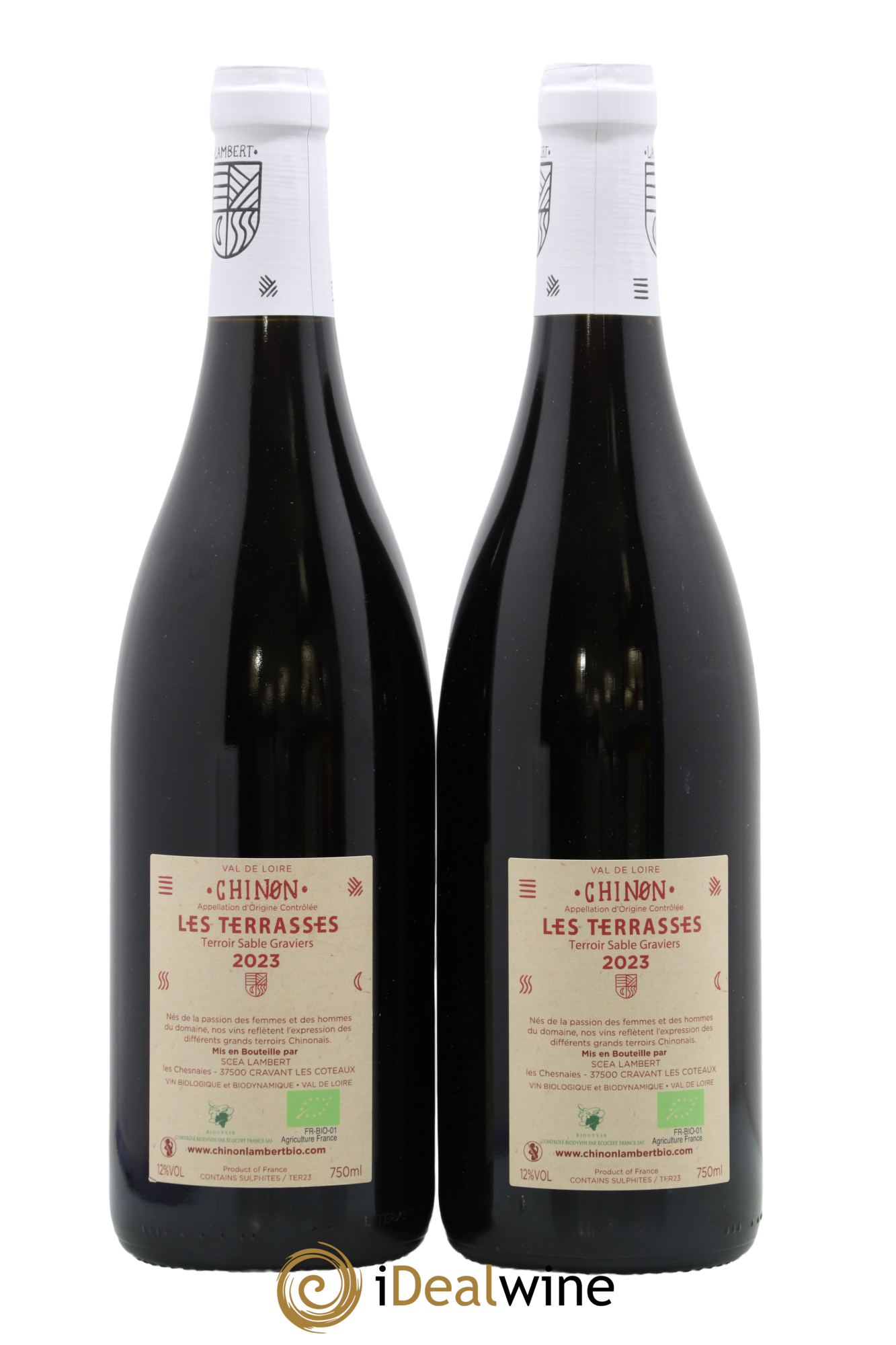 Chinon Les Terrasses Domaine Lambert 2023 - Lotto di 2 bottiglie - 1