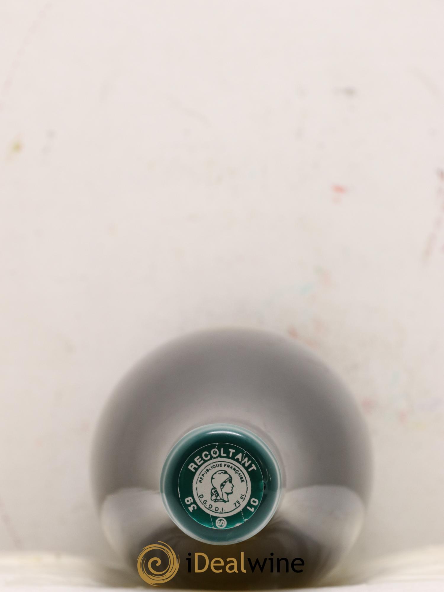 Arbois Chardonnay Savagnin Les Tourillons Adeline Houillon & Renaud Bruyère Les Tourillons Houillon Bruyère Renaud & Adeline 2019 - Lotto di 1 bottiglia - 2