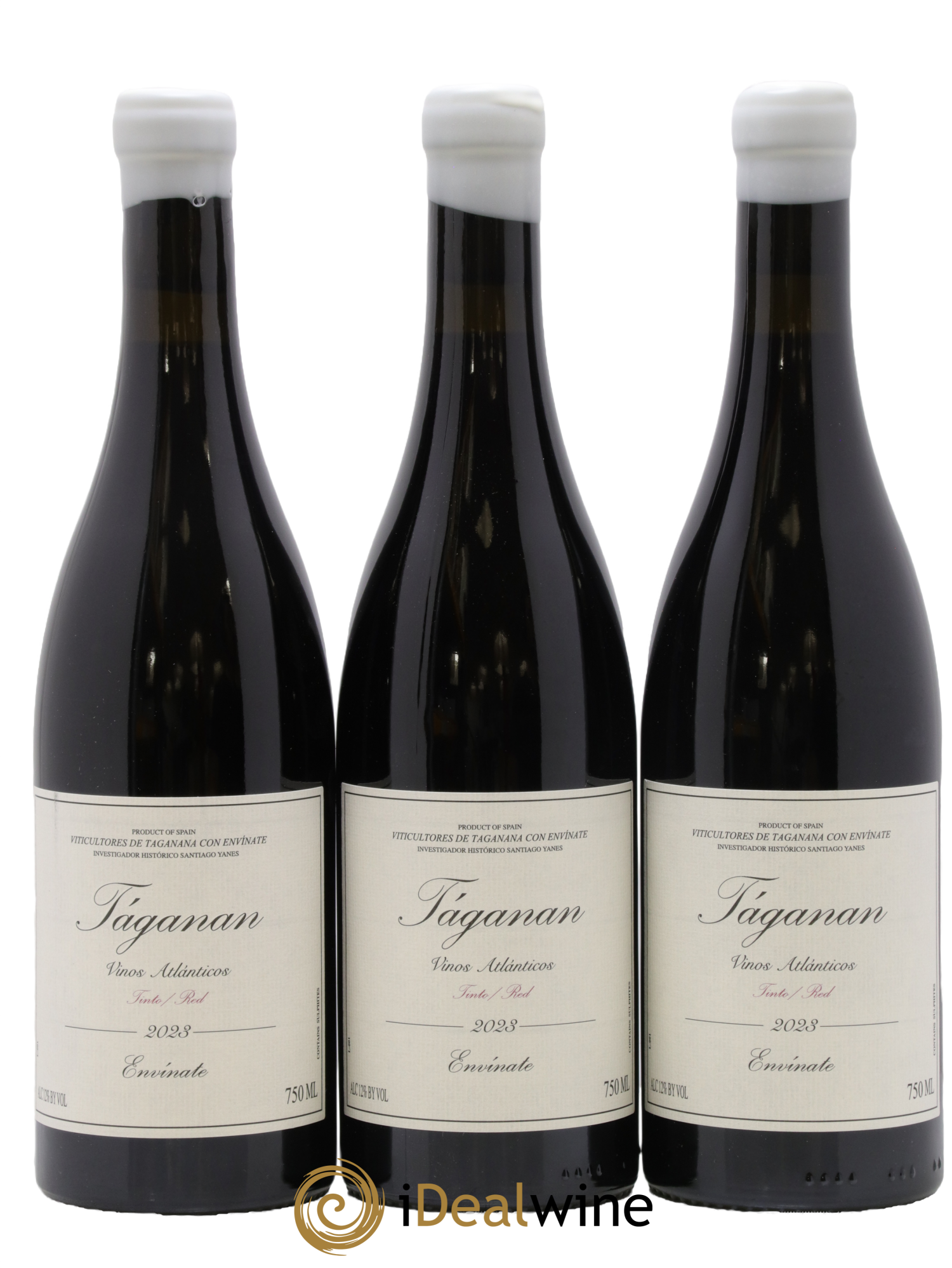 Vinos Atlánticos Táganan Tinto Envinate 2023 - Lot de 3 bouteilles - 0