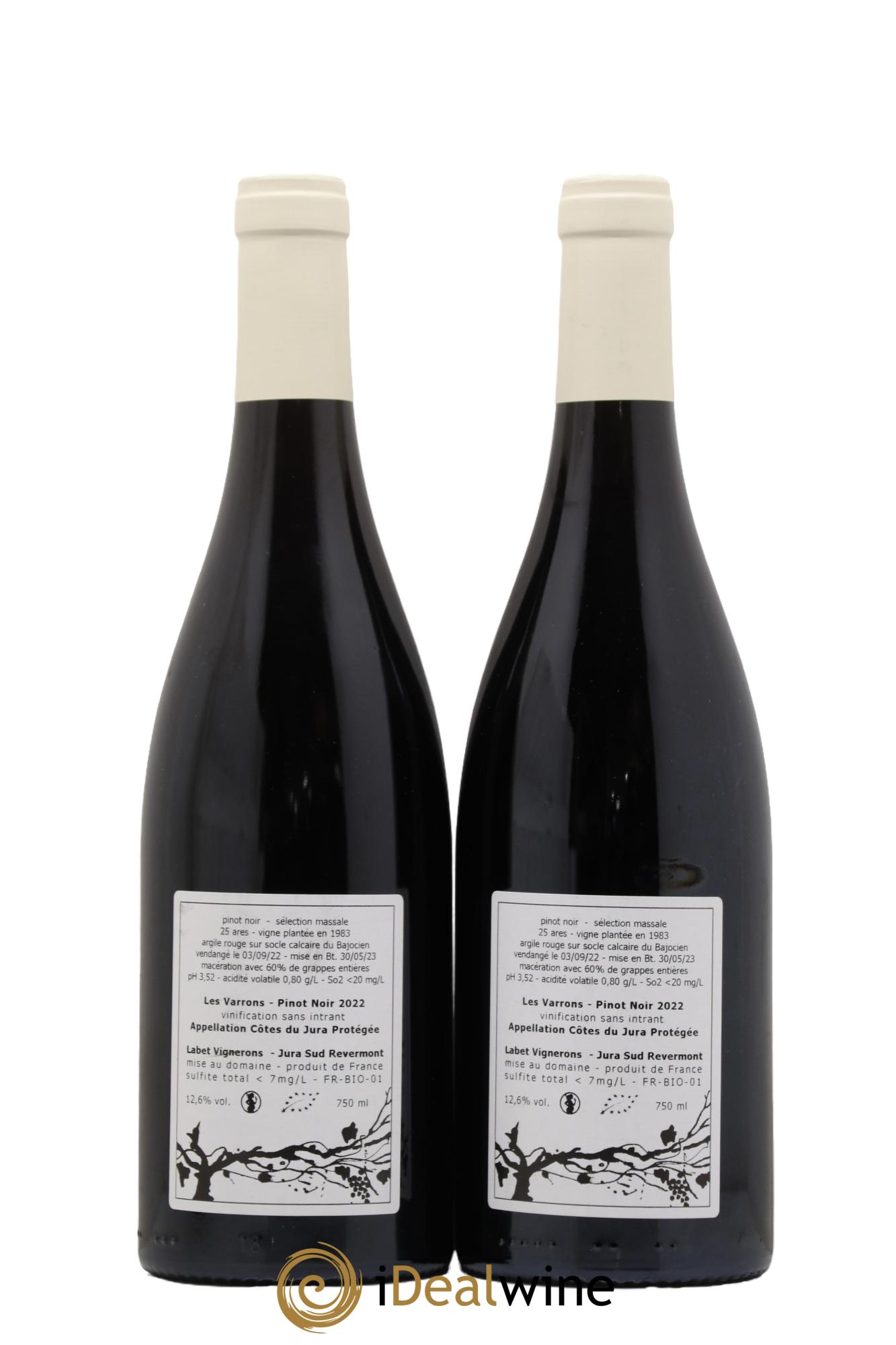 Côtes du Jura Pinot Noir Les Varrons Sélection Massale Romain - Julien - Charline Labet 2022 - Lot de 2 bouteilles - 1