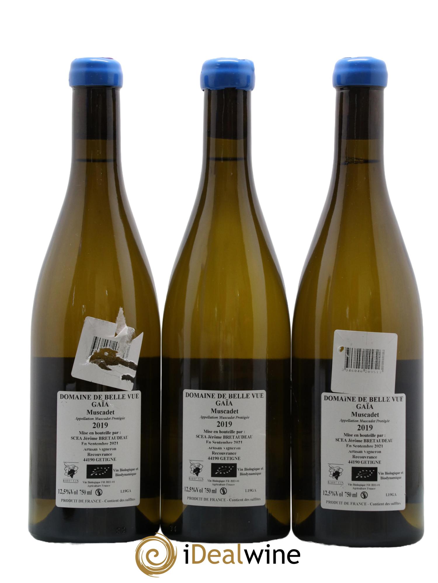Muscadet-Sèvre-et-Maine Gaia Jérôme Bretaudeau - Domaine de Bellevue 2019 - Lot de 3 bouteilles - 1