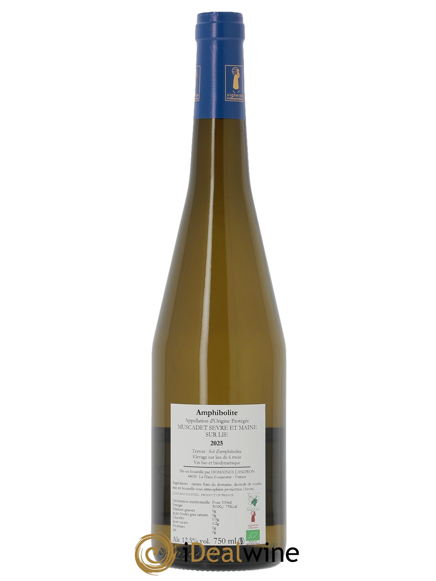 Muscadet-Sèvre-et-Maine Amphibolite Jo Landron 2025 - Lot of 1 bottle - 1