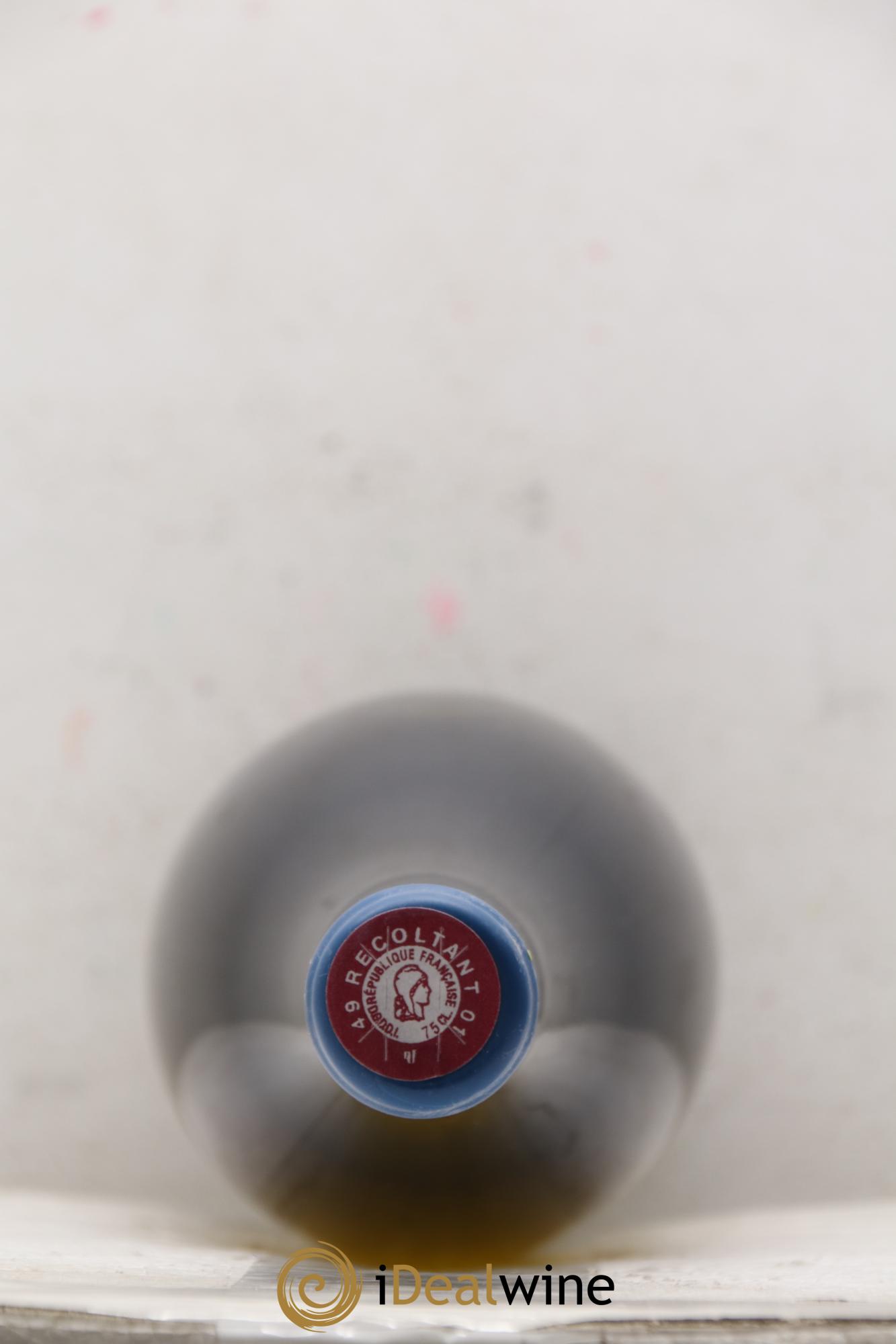 Vin de France Les Nourrissons Stéphane Bernaudeau 2021 - Lot de 1 bouteille - 1