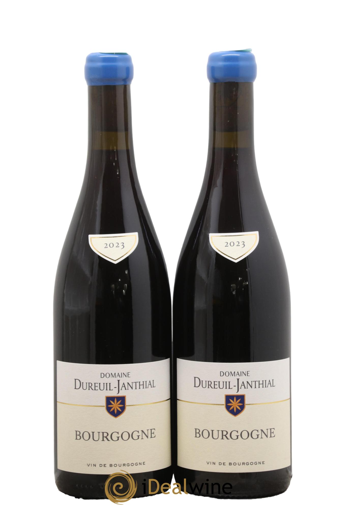 Bourgogne Pinot Noir Vincent Dureuil-Janthial 2023 - Posten von 2 Flaschen - 0