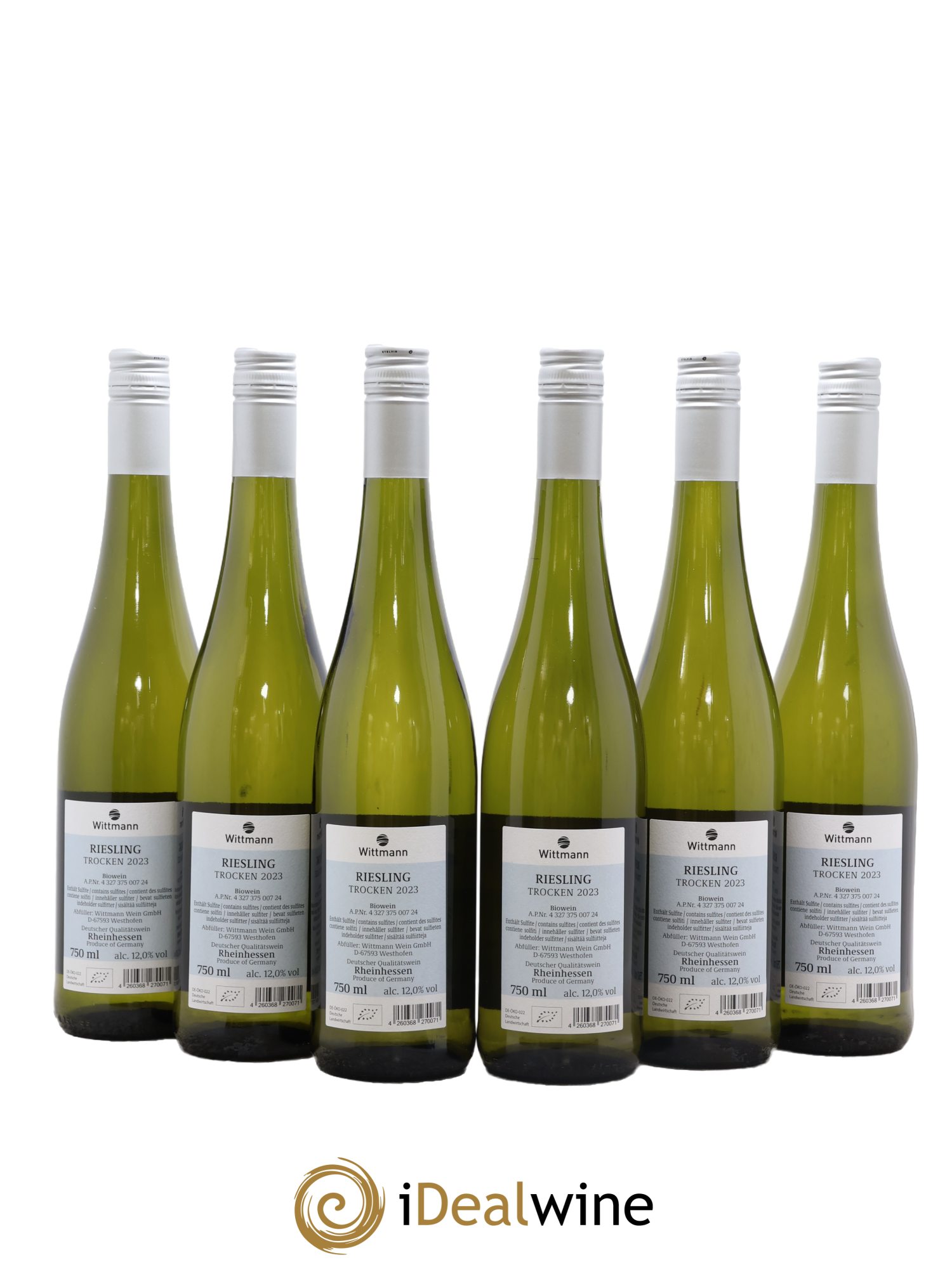 Allemagne Rheinhessen 100 Hugel Riesling Trocken Wittmann 2024 - Lot of 6 bottles - 1