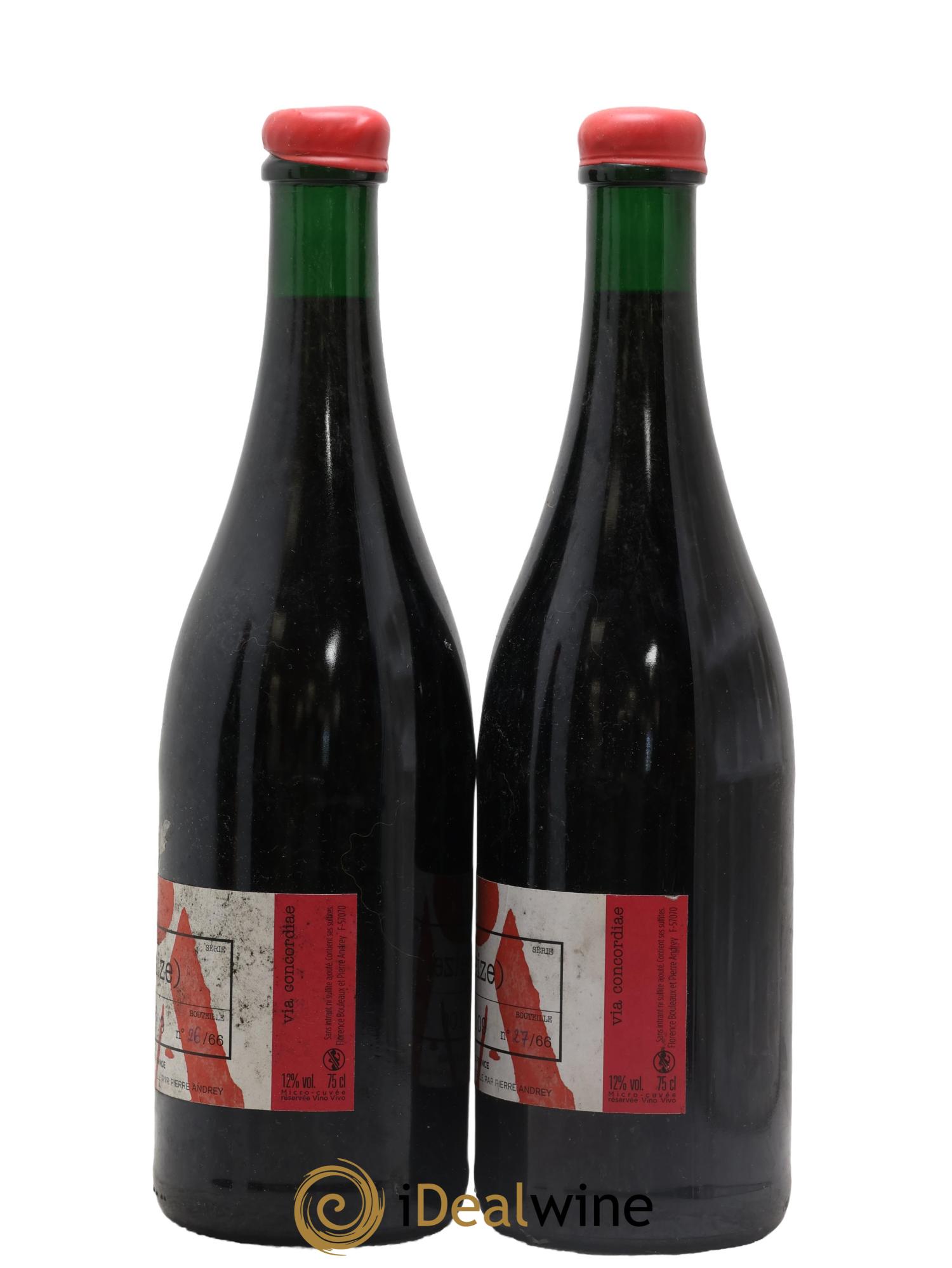 Vin de France Via Concordiae Pinot Gamay Florence Bouleaux et Pierre Andrey 2017 - Lot of 2 bottles - 1