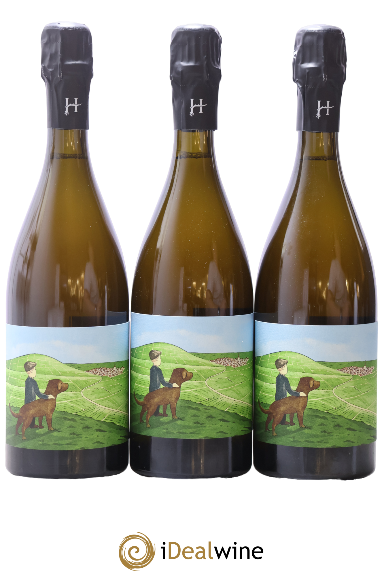 Gamin du Terroir Romain Henin - Lot de 3 bouteilles - 0