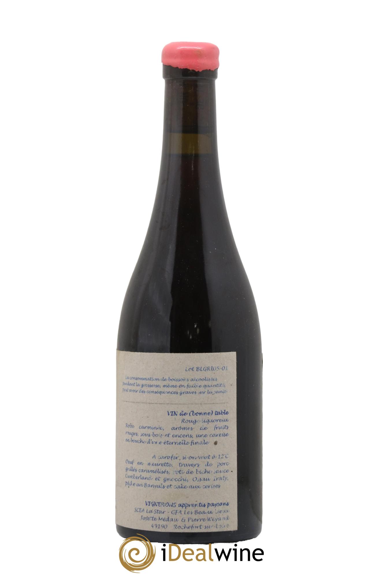 Vin de France Le Pur Elixir des Gasneries Josette Medau et Pierre Weyand 2005 - Lot de 1 format 50cl - 1