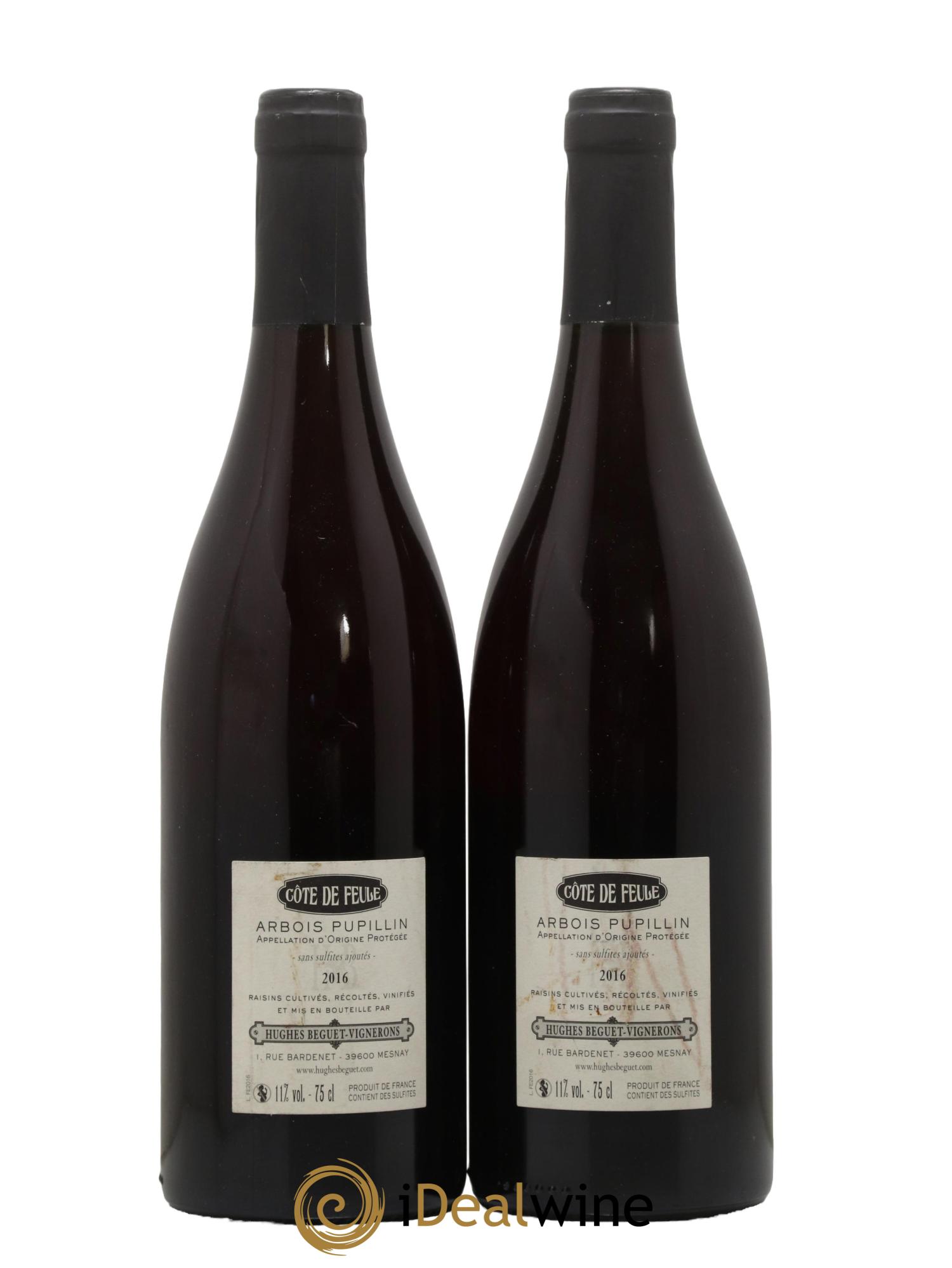 Arbois-Pupillin Ploussard Côte de Feule Huges Beguet 2016 - Lot de 2 bouteilles - 1