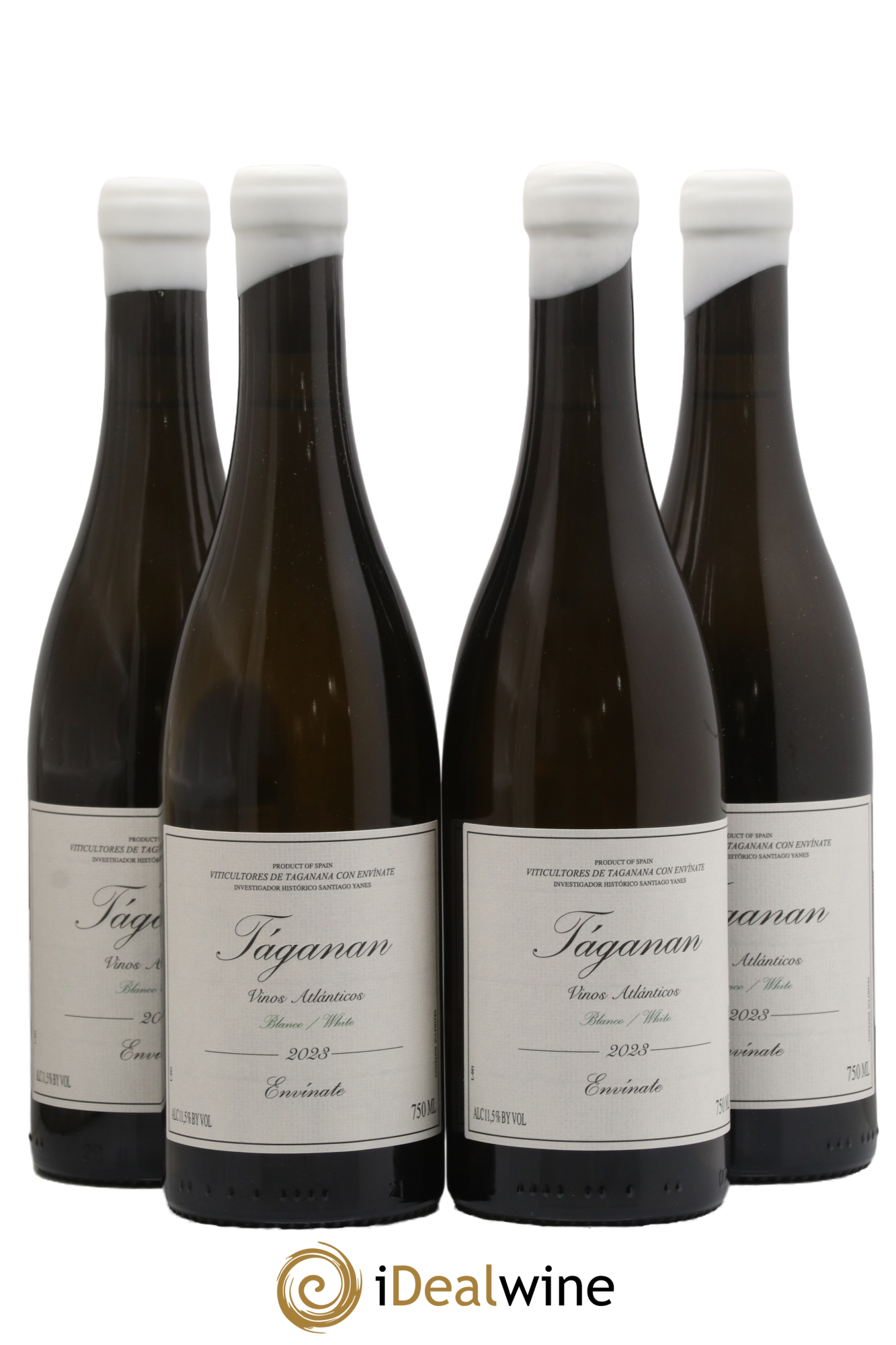 Vinos Atlántico Táganan Blanco Envinate 2023 - Posten von 4 Flaschen - 0