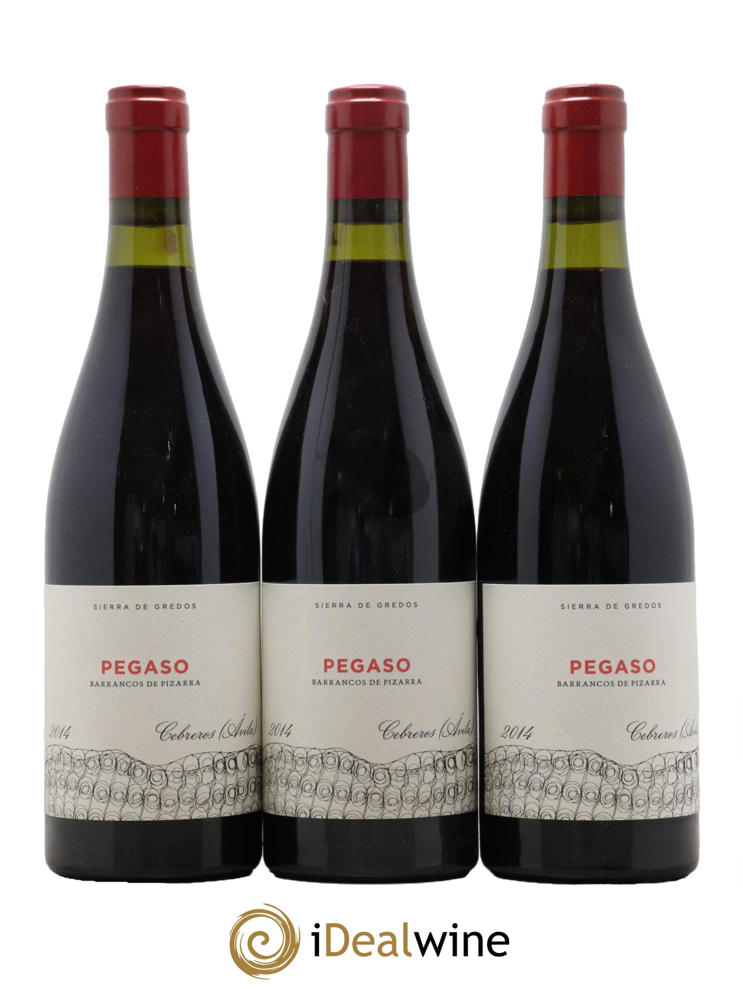 Espagne Vino De La Tierra De Castilla Y Leon Pegaso Pizarra Rouge Rouge 2014 - Lot de 6 bouteilles - 1