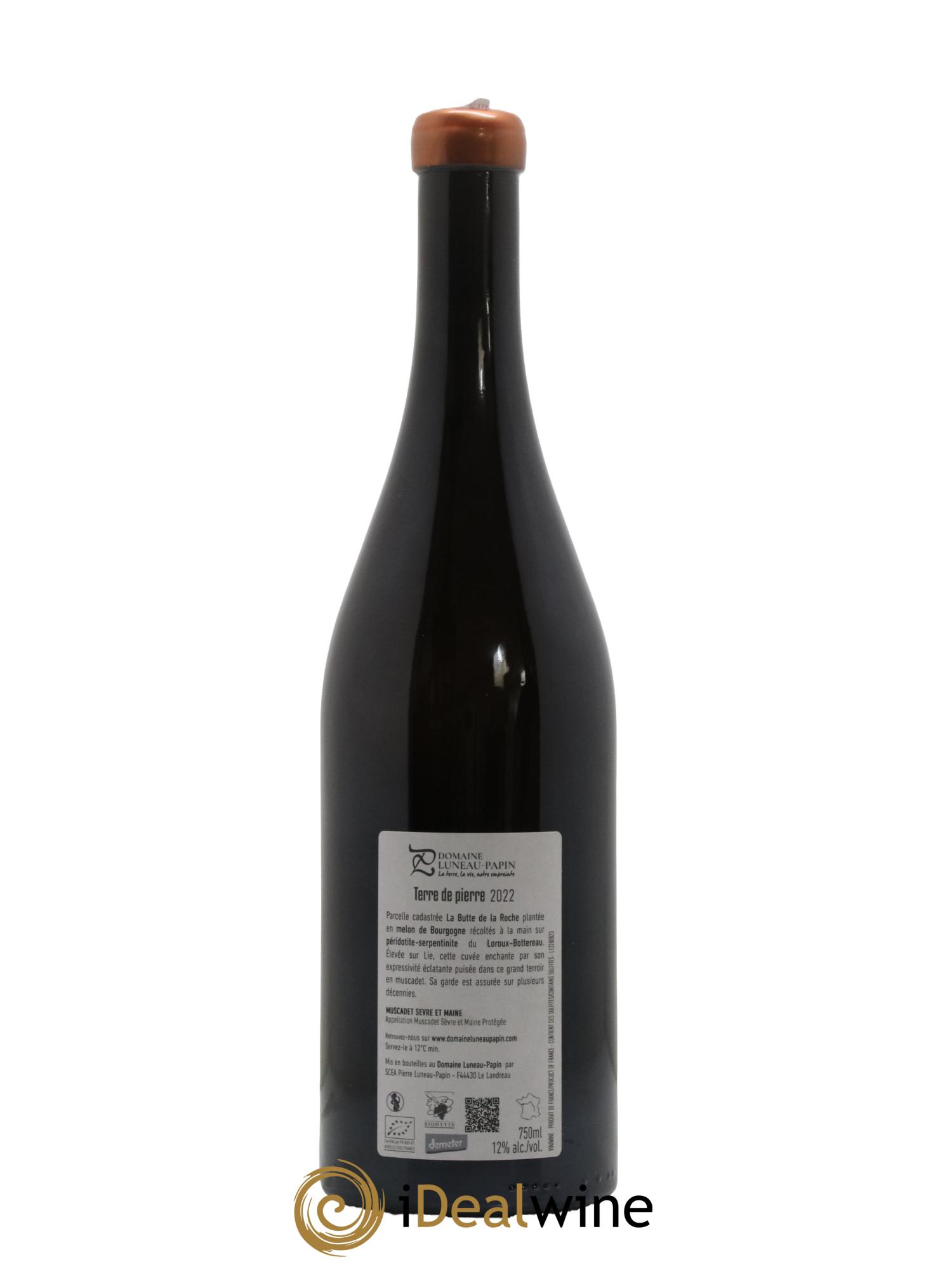 Muscadet-Sèvre-et-Maine sur lie Terre de Pierre Luneau-Papin 2022 - Lot de 1 bouteille - 1