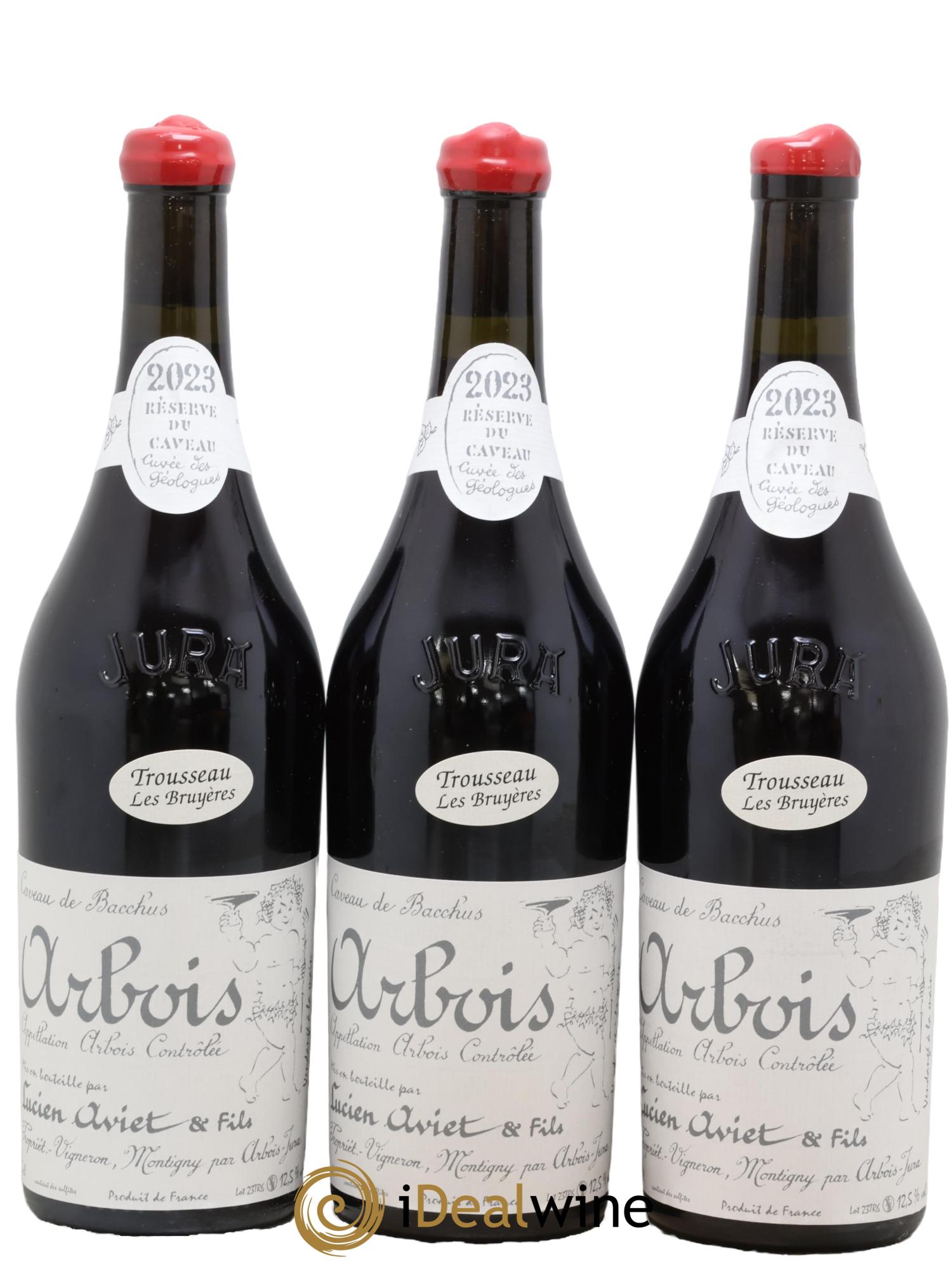 Arbois Trousseau Les Bruyères Cuvée des Géologues Lucien Aviet (Domaine) 2023 - Lot de 3 bouteilles - 0