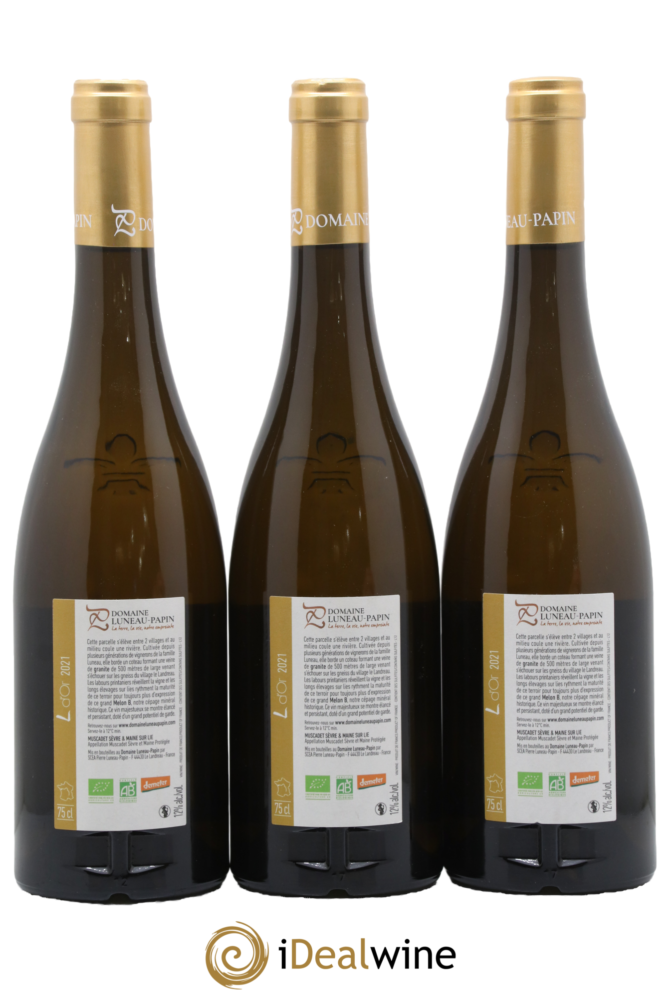 Muscadet-Sèvre-et-Maine L D'Or Luneau-Papin 2021 - Lot de 3 bouteilles - 1