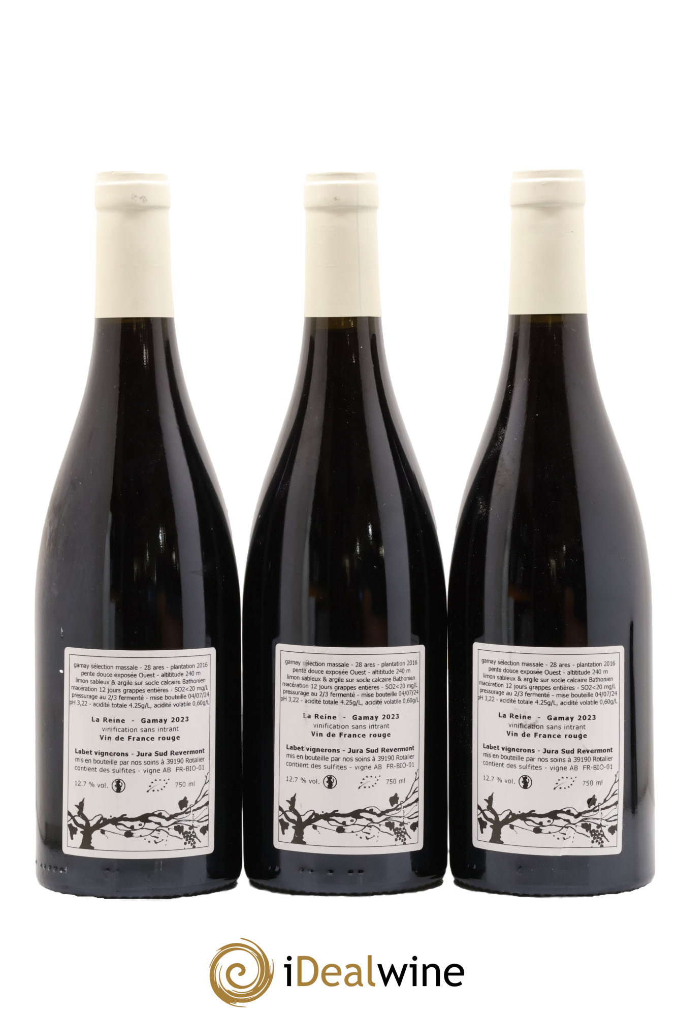 Vin de France Gamay La Reine Labet (Domaine) 2023 - Posten von 3 Flaschen - 1